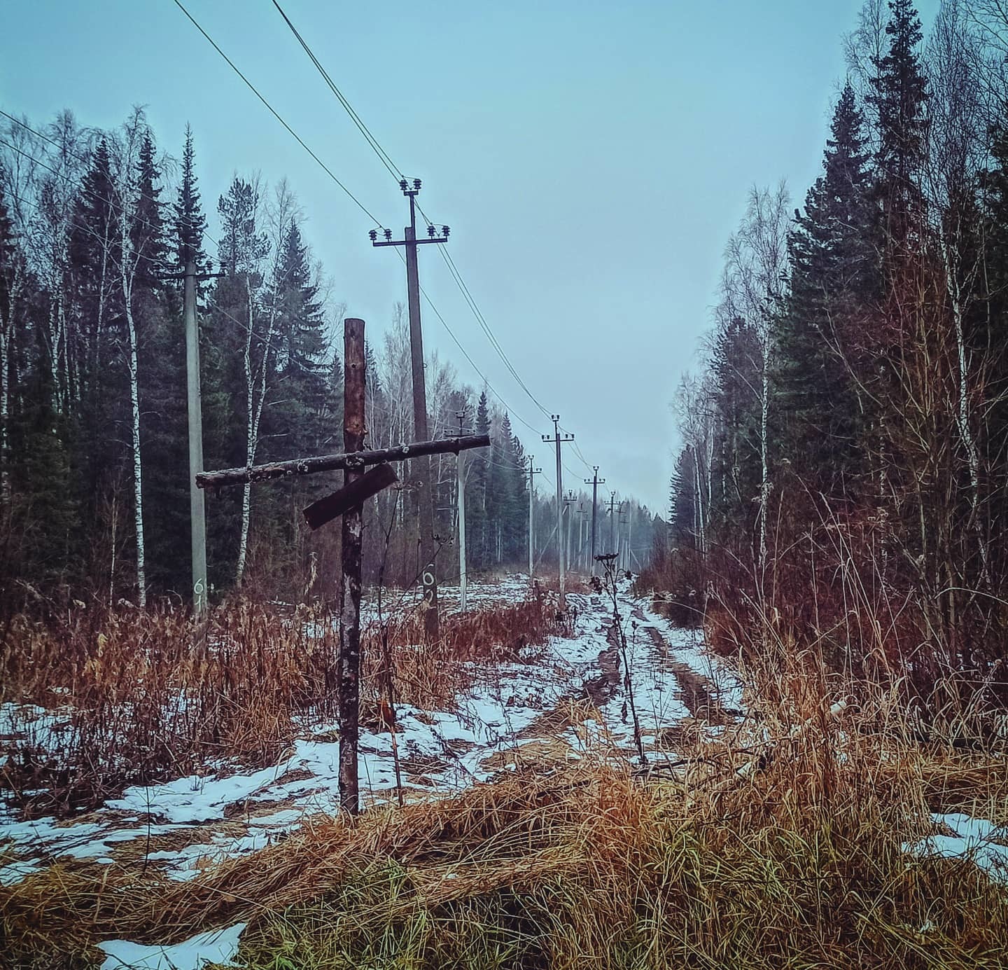 Autumn walks 10 - My, Autumn, Mobile photography, Khanty-Mansiysk, Nature, Longpost, The photo