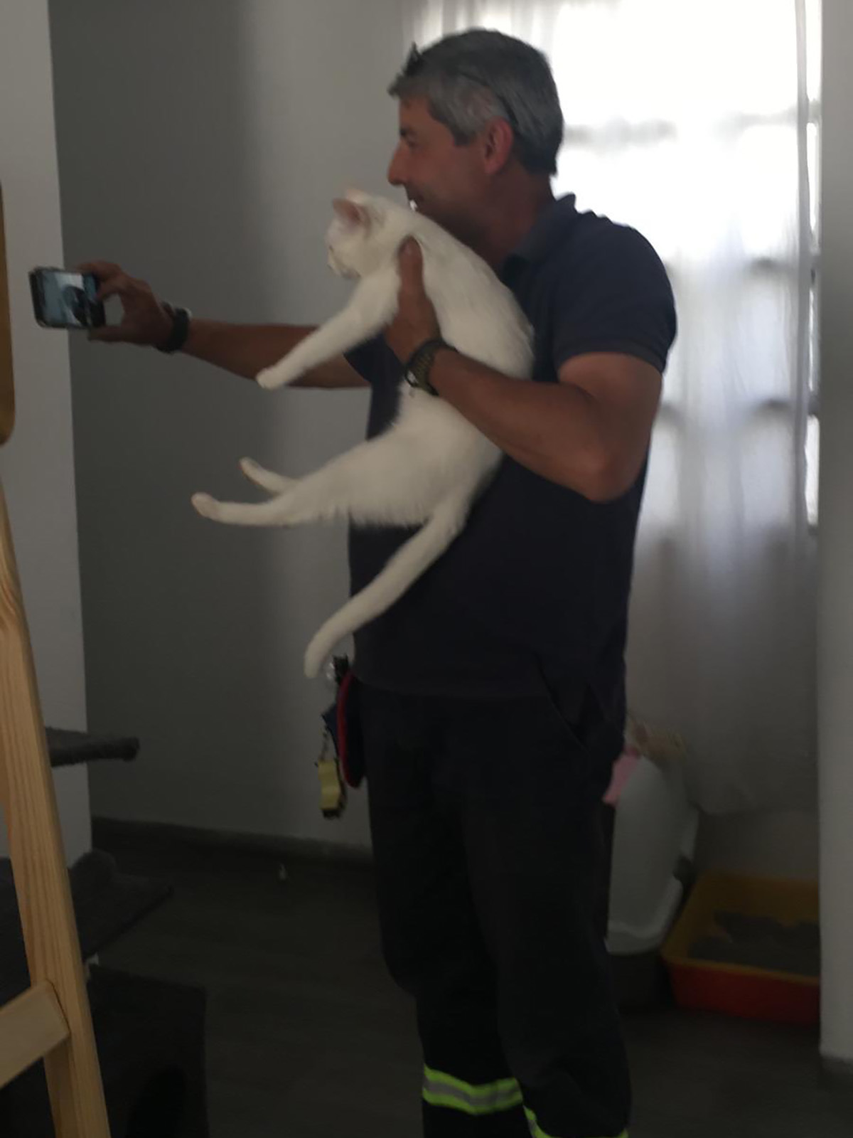 “Today a master came to see me to install a cable and I found him doing something like this. I left a positive review” [catism] - cat, White, Telemaster, Selfie, In contact with, Longpost