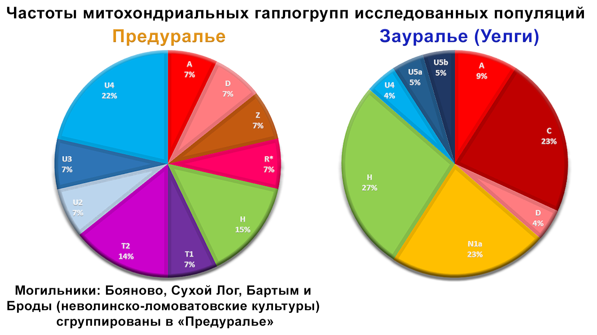 Origin of the Hungarians and the Ural region. History of the Magyars, new genetic data - My, The science, Story, Population genetics, Longpost, Hungarians, Southern Urals, DNA, Video, GIF