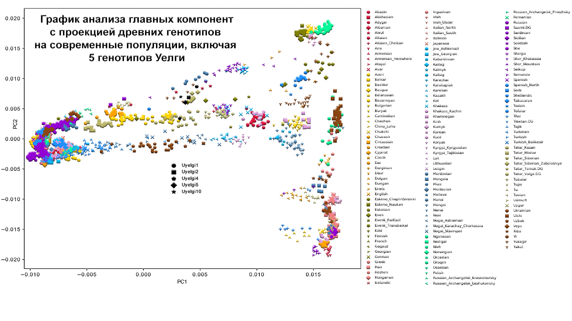 Origin of the Hungarians and the Ural region. History of the Magyars, new genetic data - My, The science, Story, Population genetics, Longpost, Hungarians, Southern Urals, DNA, Video, GIF