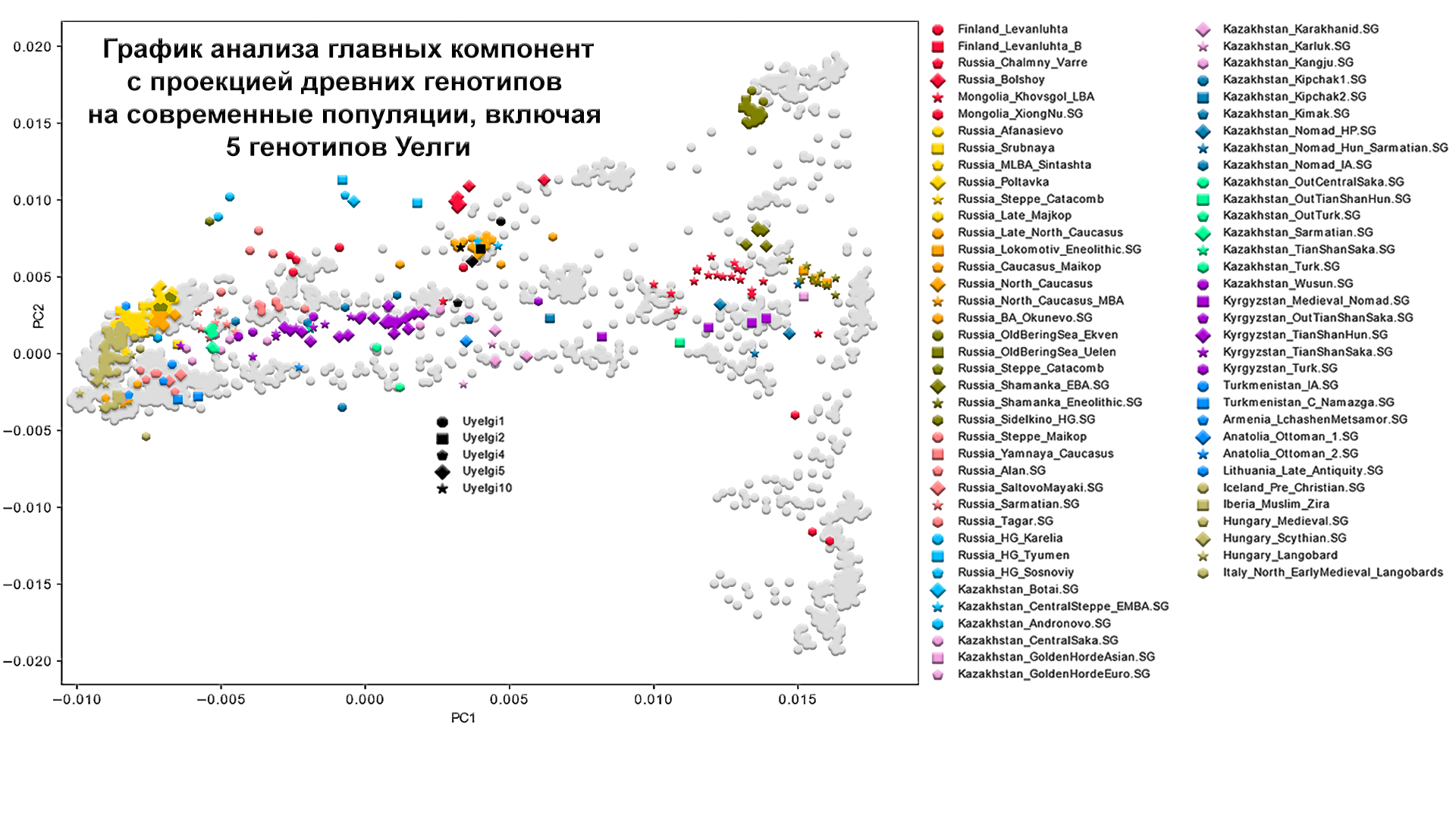 Origin of the Hungarians and the Ural region. History of the Magyars, new genetic data - My, The science, Story, Population genetics, Longpost, Hungarians, Southern Urals, DNA, Video, GIF