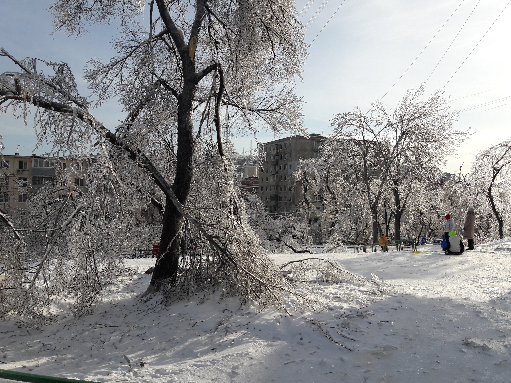 The deadly beauty of glass cities - My, Freezing rain, Vladivostok, Snow, Winter, Long, Icicles, Longpost