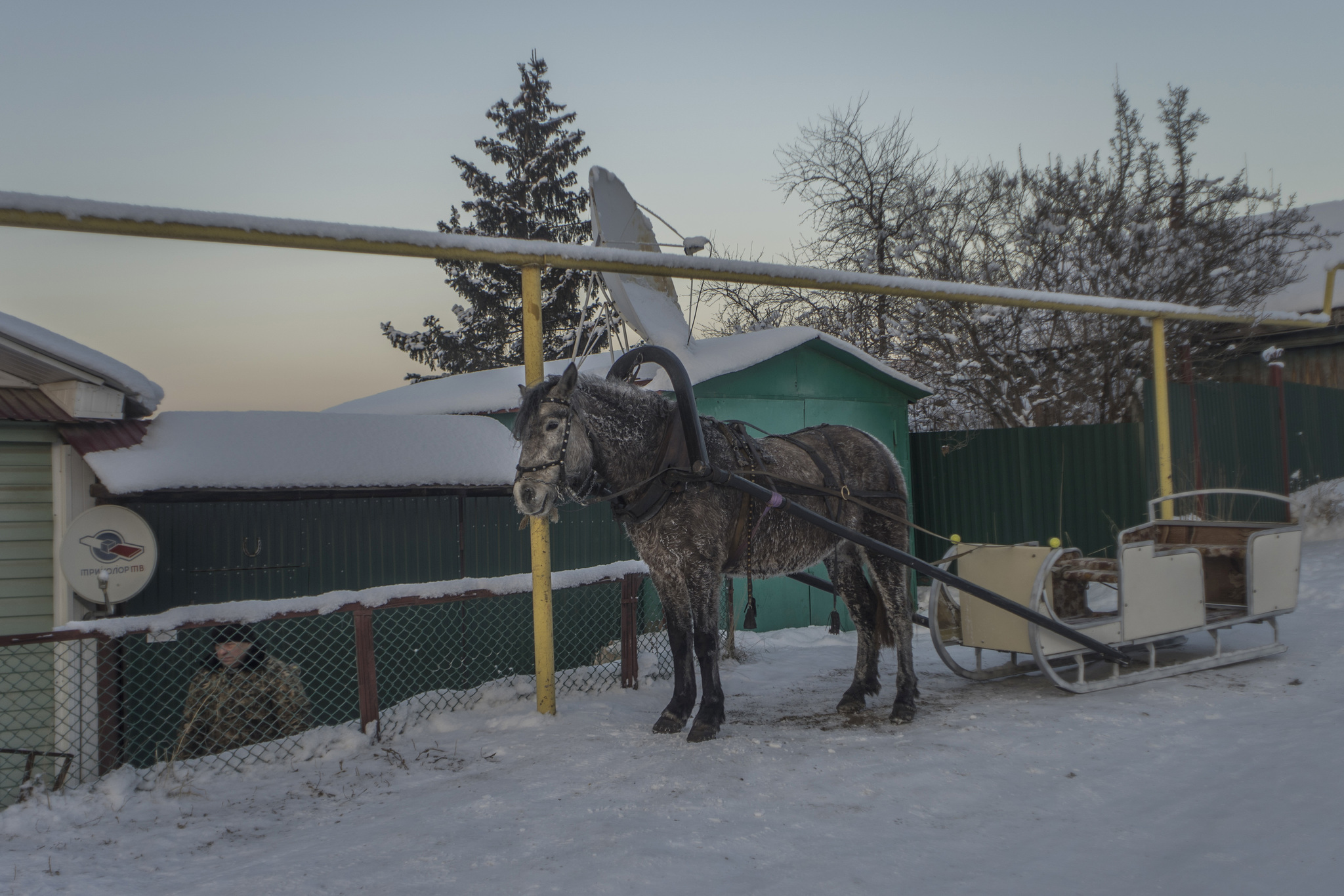 Winter evening in the Urals - My, Winter, Sunset, Ural, Ust-Katav, The mountains, Horses, Forest, Longpost, The photo