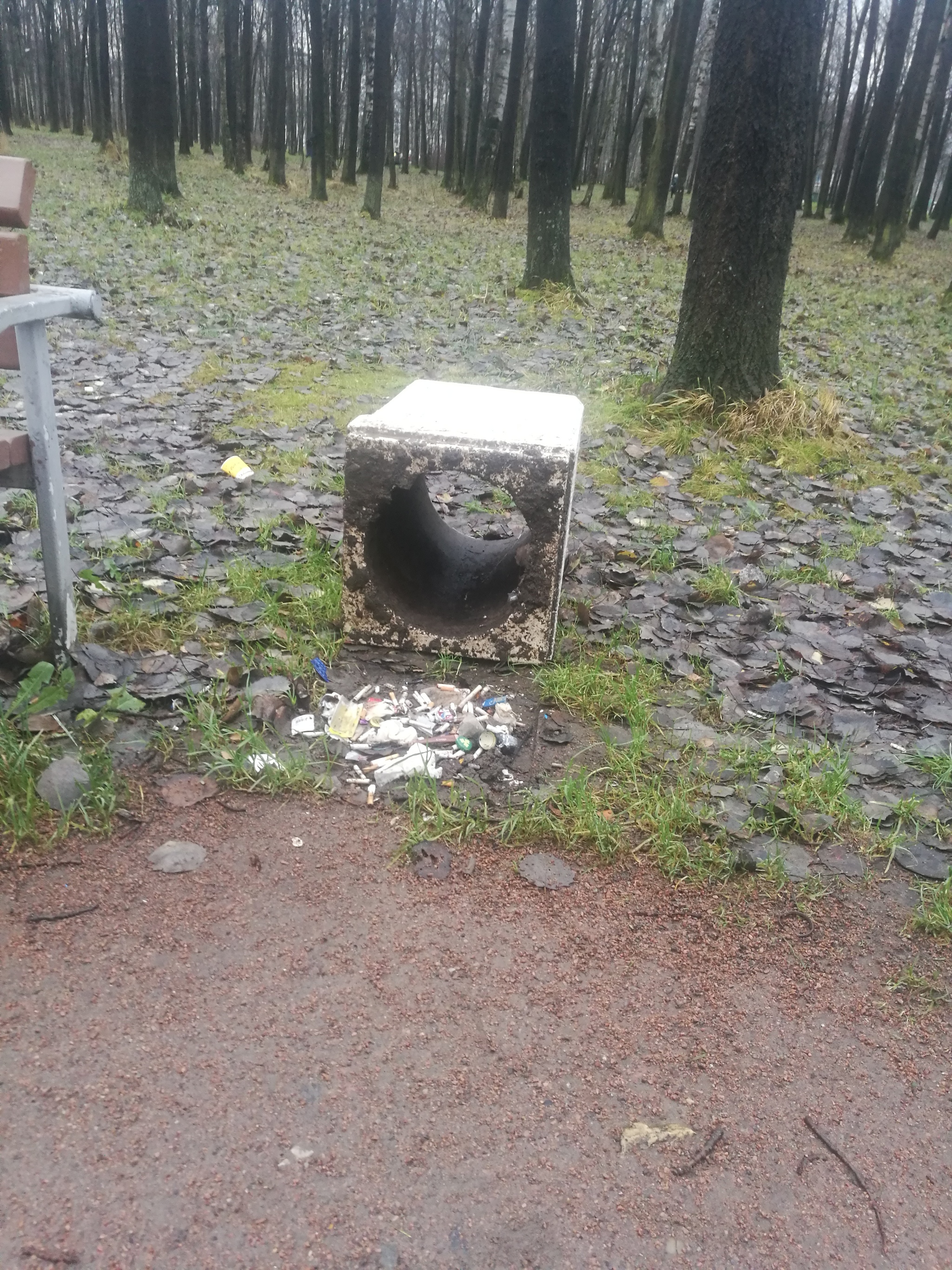 Waste disposal in Russia - My, Garbage, Waste, Trash can, Separate garbage collection, Purity