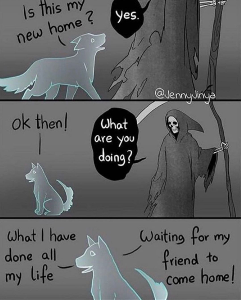 Friends forever - Picture with text, Dog, Friend, Damn ninjas are cutting onions, JennyJinya