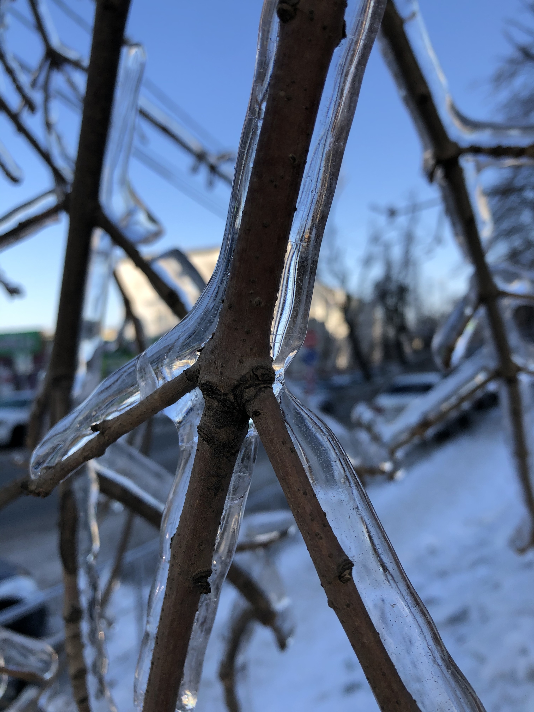 Vladivostok in the ice - My, Winter, Vladivostok, Longpost