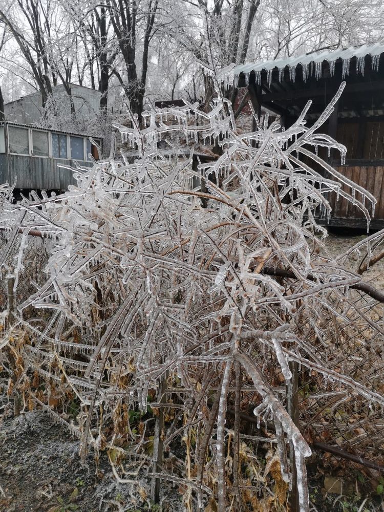 Icy Vladivostok - My, Vladivostok, Element, Weather, Icing, Ice, Longpost