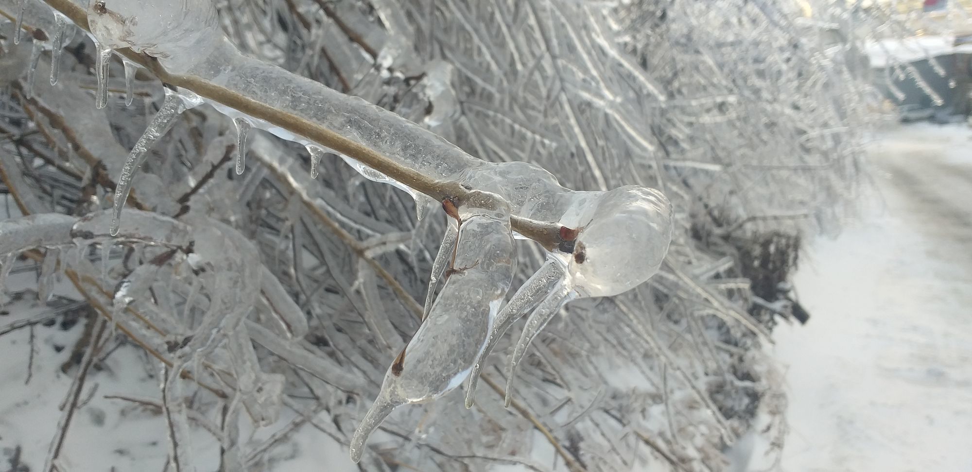 Icy Vladivostok - My, Vladivostok, Element, Weather, Icing, Ice, Longpost