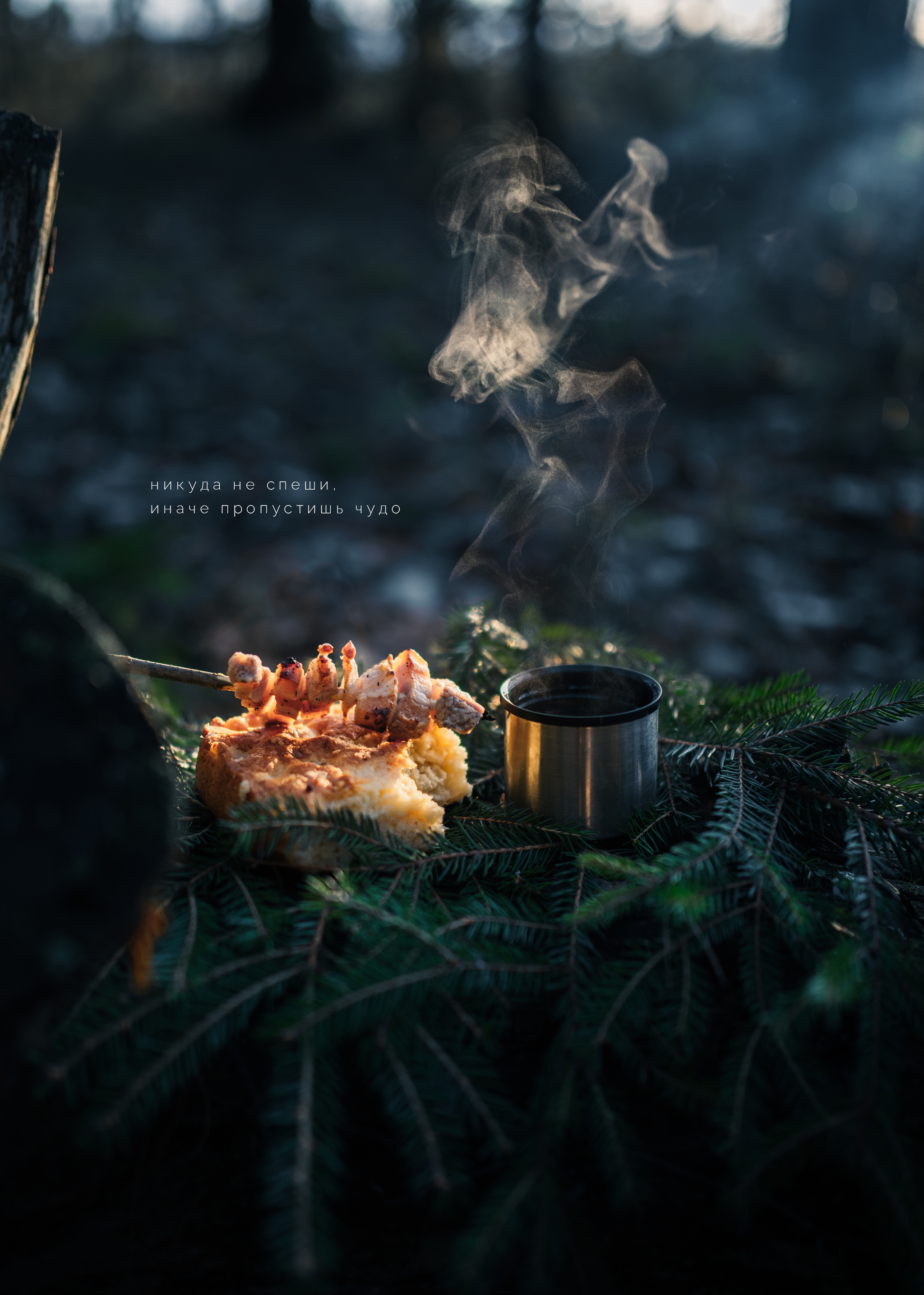 Forest rest - My, Hike, Bonfire, Food, Preparation, Salo, Tea, Forest, The photo, Nature, Fire, Kitchen, Thermos, Longpost