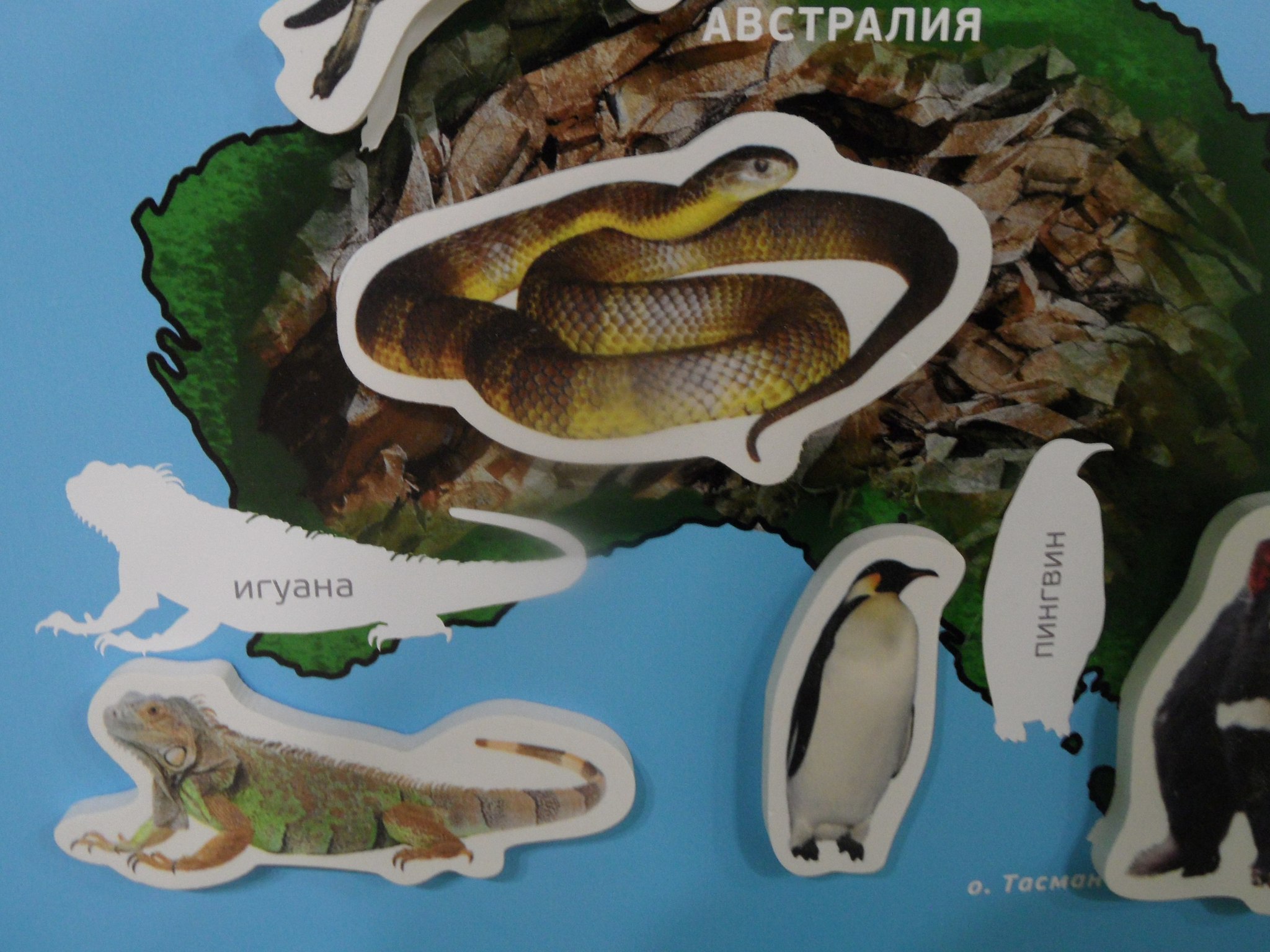 Unfun zoogeography for children - My, Animals, Geography, Cards, Contact zoo, Error, Longpost, Yekaterinburg