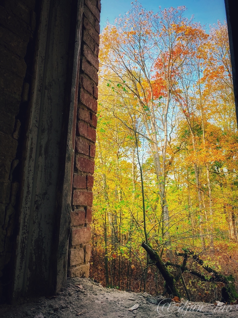 Pavlishchevo Estate - My, Nature, Autumn, Foliage, beauty, Pavlishchev Bor Estate, Manor, Longpost