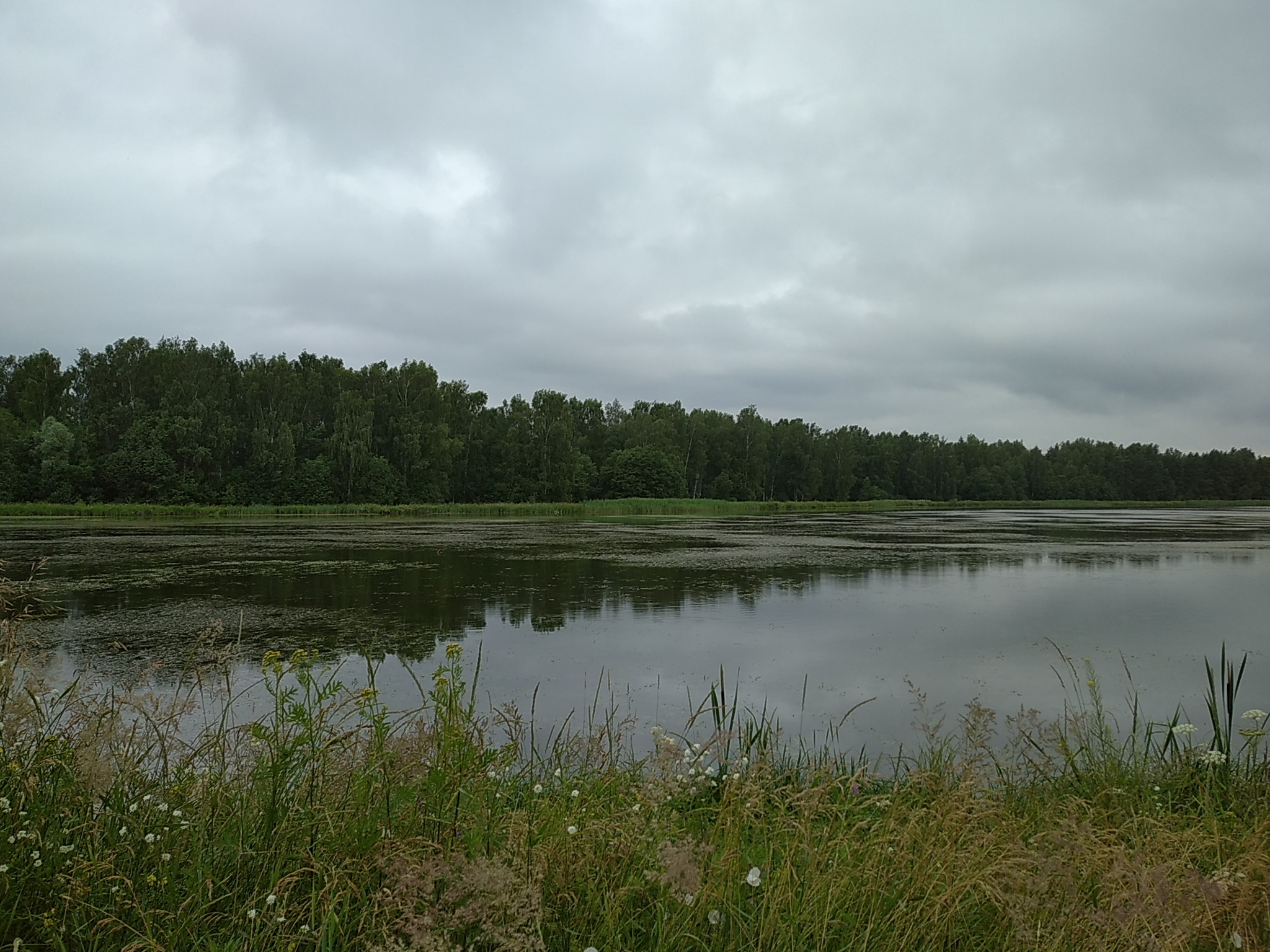 Remembering summer: PVD2D Reshetnikovo - Novopetrovskaya - My, Weekend travel, PVD, A bike, Bicycles, Moscow region, Video, Longpost