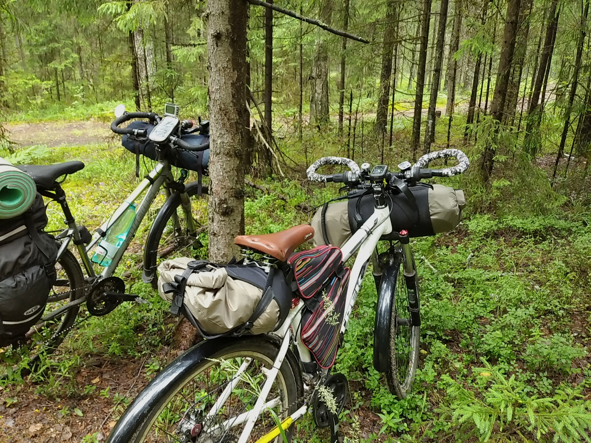 Remembering summer: PVD2D Reshetnikovo - Novopetrovskaya - My, Weekend travel, PVD, A bike, Bicycles, Moscow region, Video, Longpost