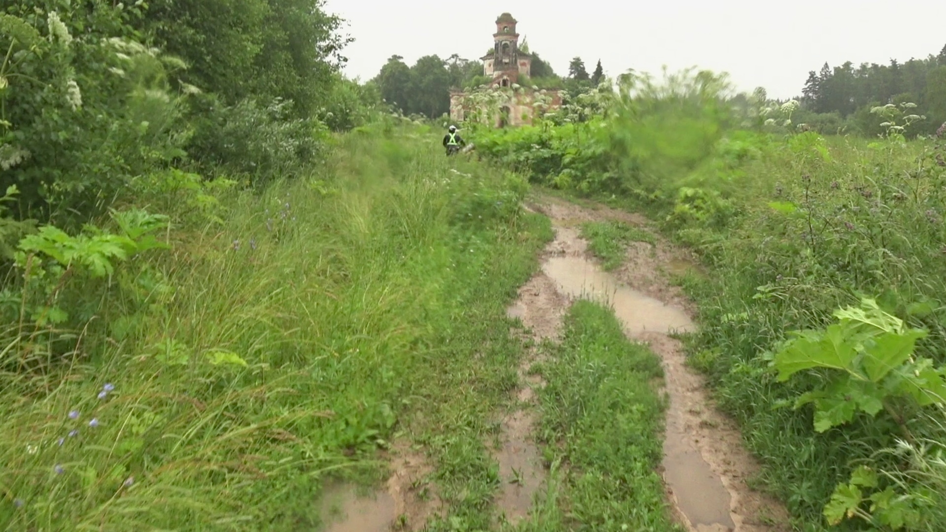 Remembering summer: PVD2D Reshetnikovo - Novopetrovskaya - My, Weekend travel, PVD, A bike, Bicycles, Moscow region, Video, Longpost