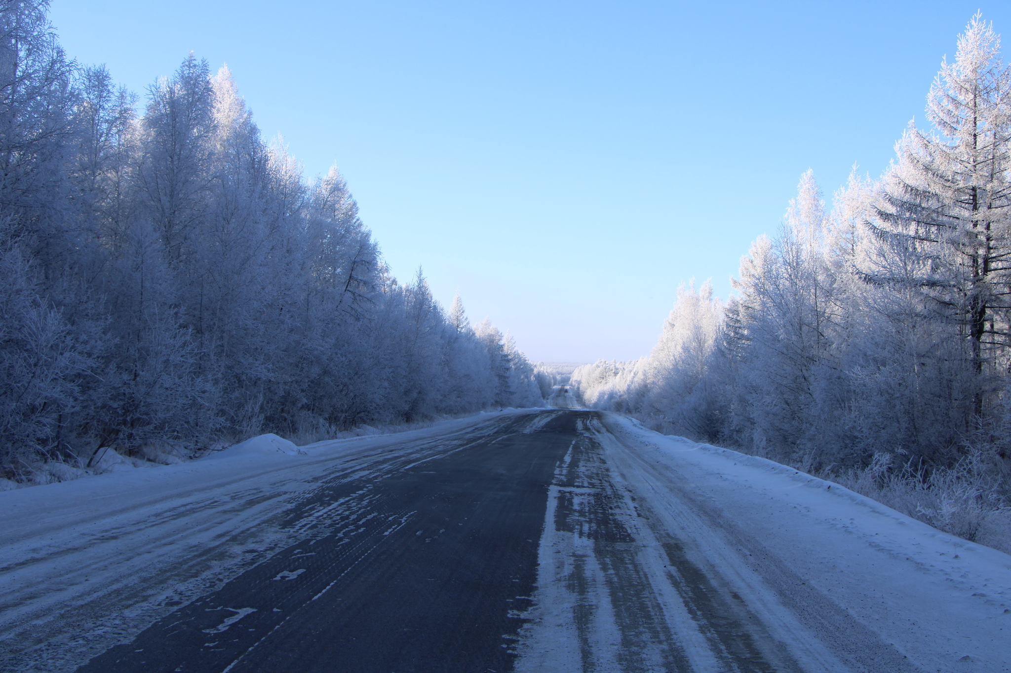 Siberia. Late autumn - My, Provinces, Devastation, Autumn, Siberia, Longpost