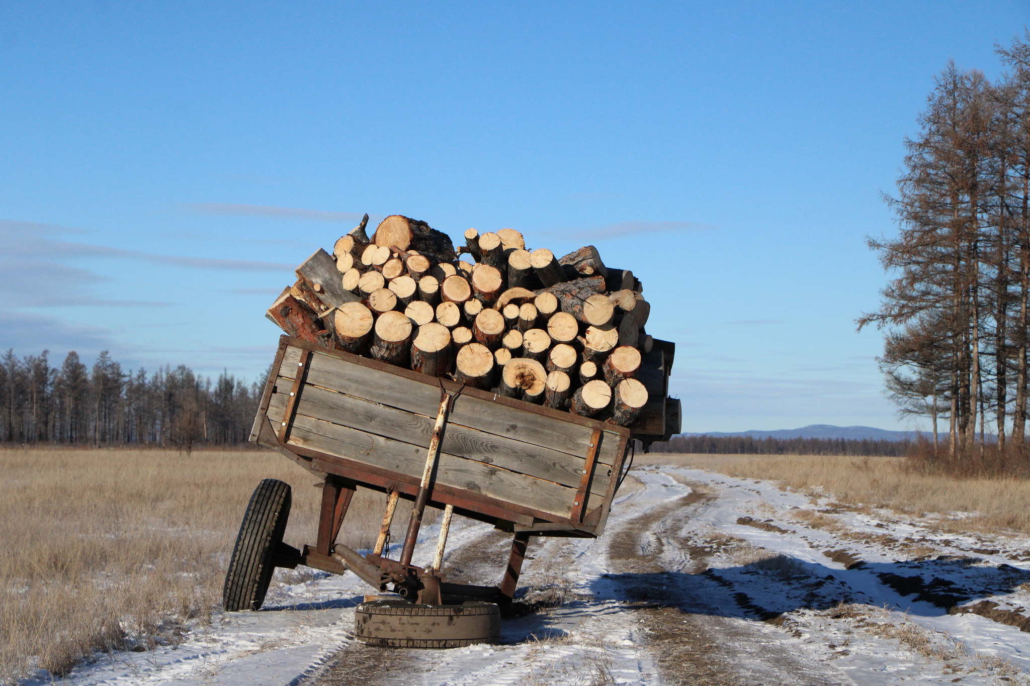 Siberia. Late autumn - My, Provinces, Devastation, Autumn, Siberia, Longpost