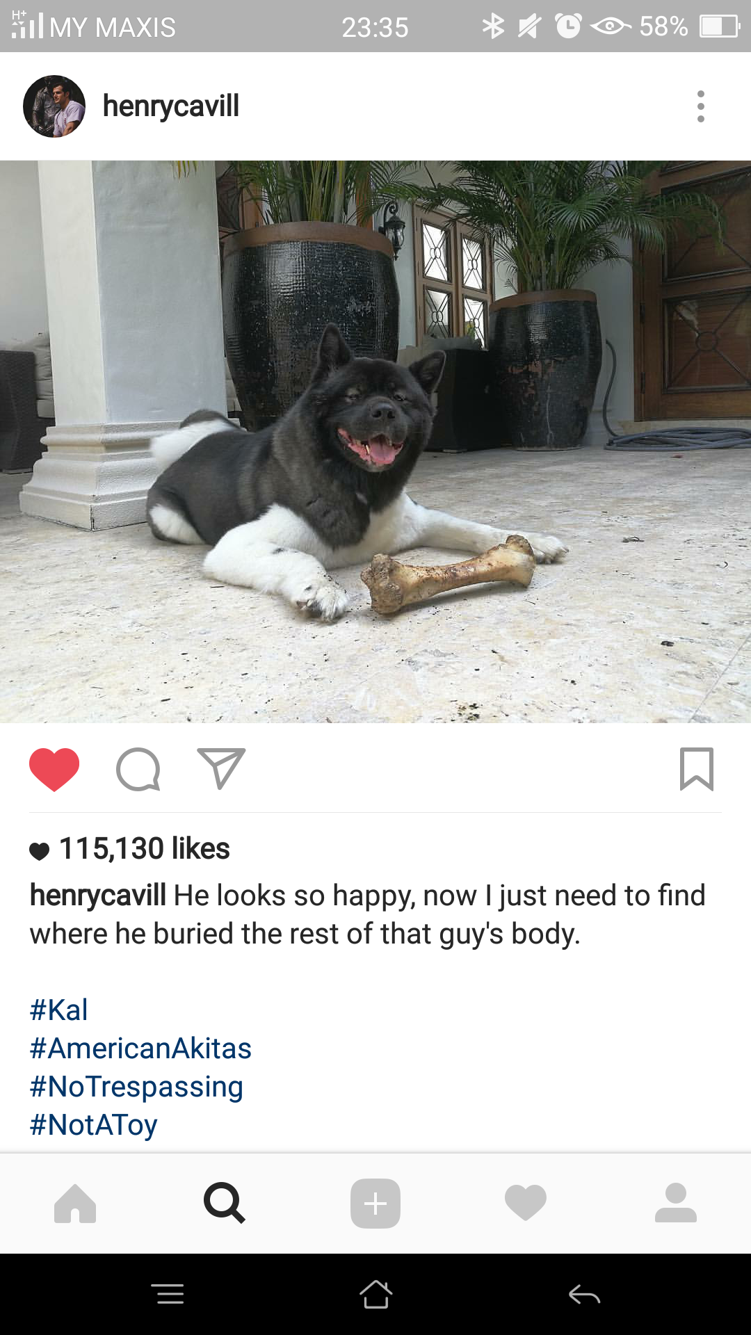 Henry Cavill and his super dog Kal-El - Henry Cavill, Dog, American Akita, The photo, Animals, Actors and actresses, beauty, Milota, GIF, Longpost, Celebrities