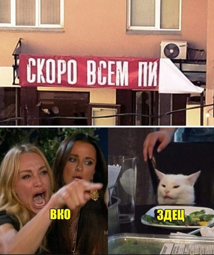 Скоро - Юмор, Мемы, Показалось, Мат, Кот, Две женщины орут на кота