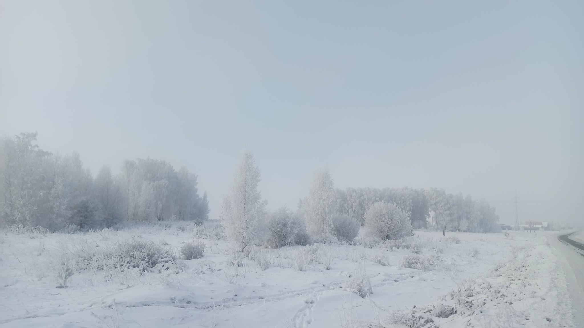 Морозное утро - Моё, Мобильная фотография, Иней, Фотография, Зима, Длиннопост