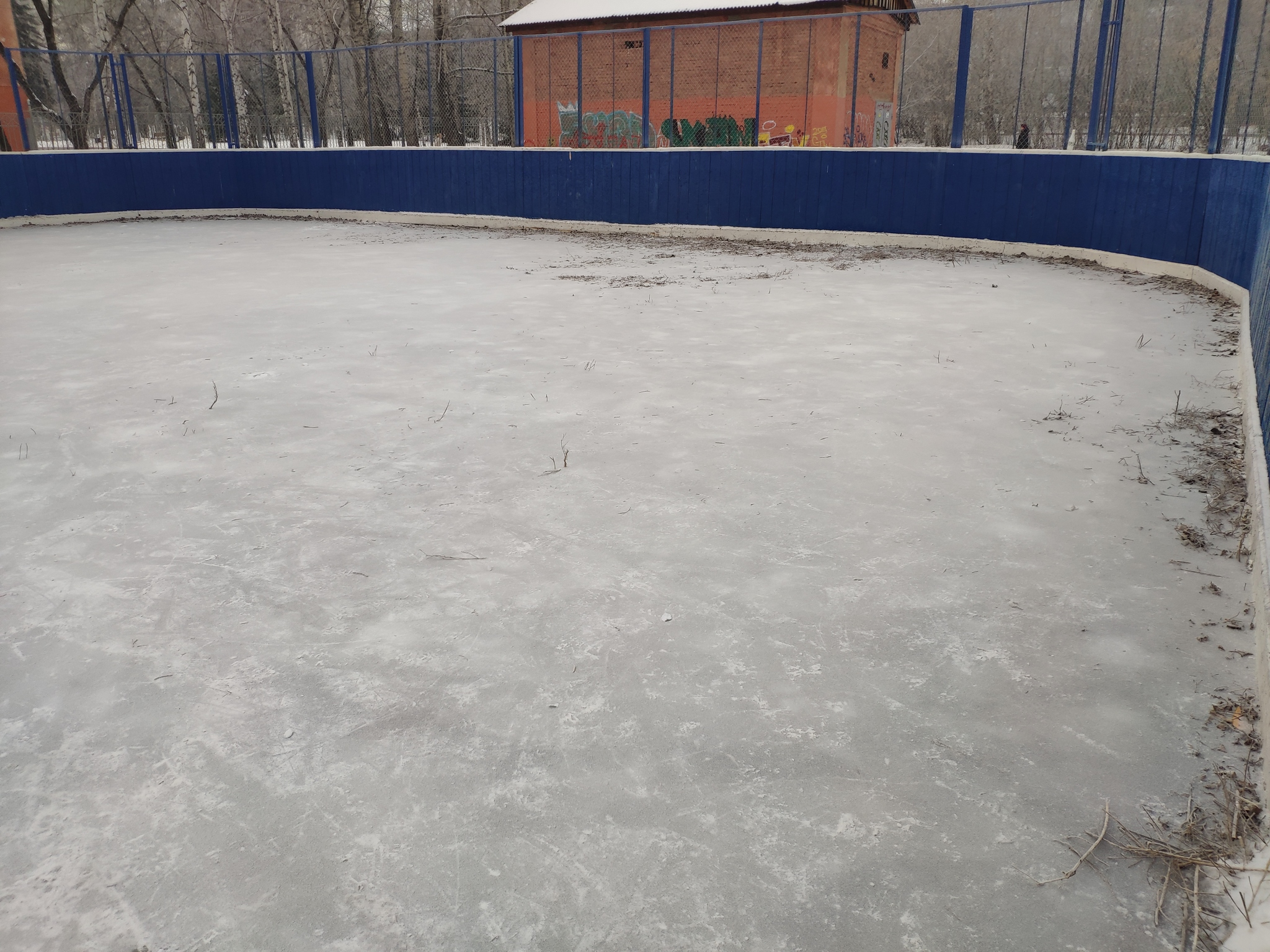 Ride for your health - My, Ice rink, And so it will do, Longpost