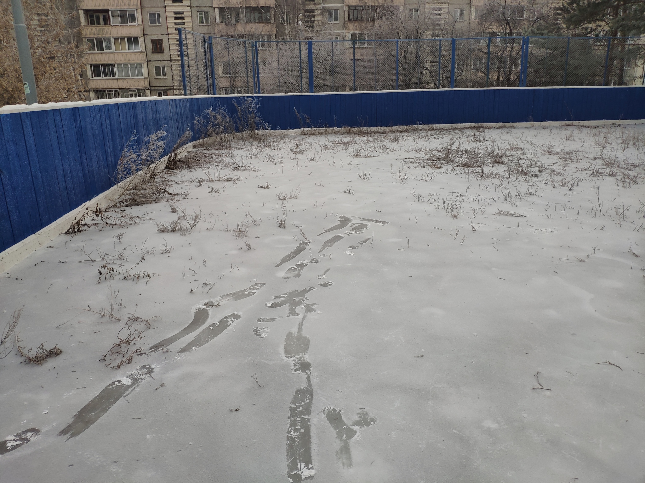 Ride for your health - My, Ice rink, And so it will do, Longpost