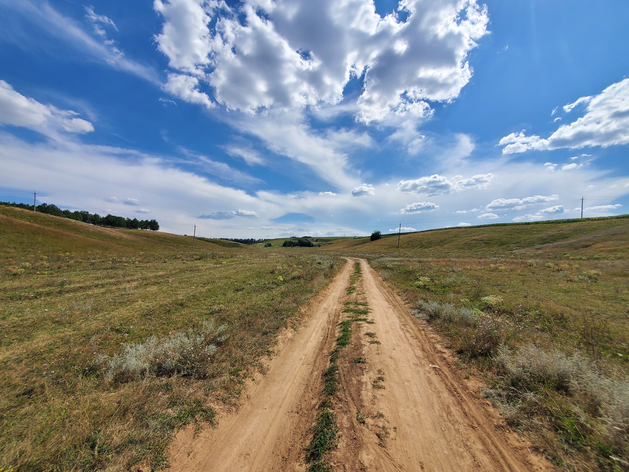 Several nature photos from cycling trips - My, A bike, Nature, beauty of nature, Longpost, The photo, Kharkiv Oblast