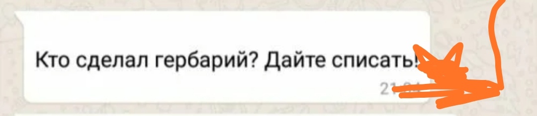 Как- то так 485... - Исследователи форумов, Скриншот, ВКонтакте, Позор, Обо всем, Как-То так, Staruxa111, Длиннопост, Мат