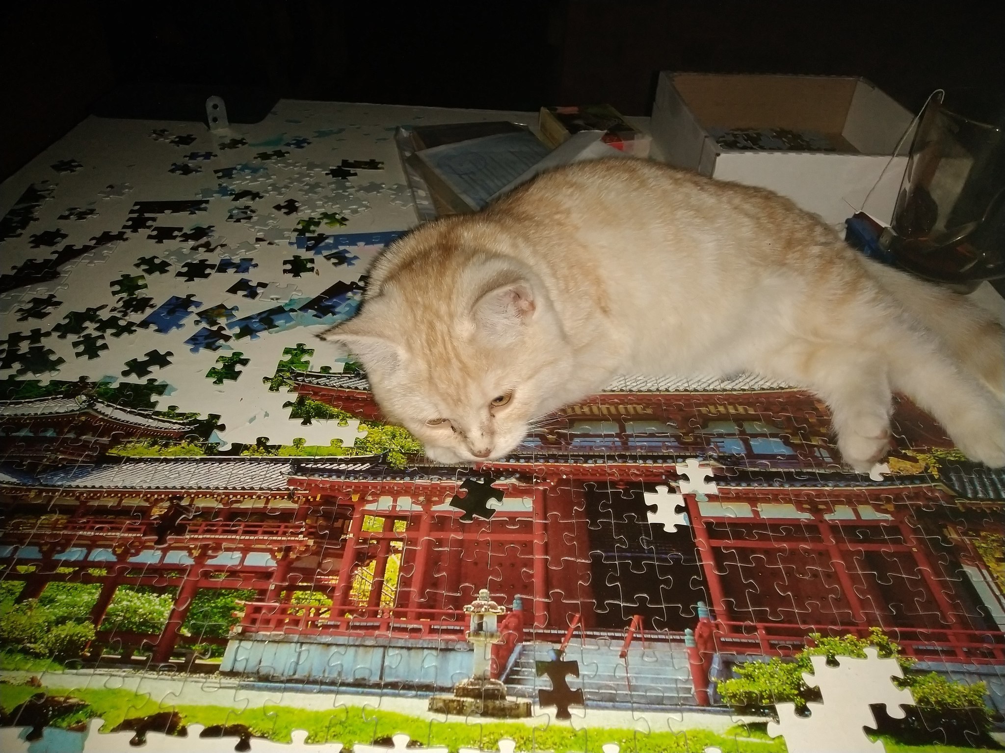 The cat was working on a puzzle and was tired - My, cat, Лампа, Puzzle, Longpost