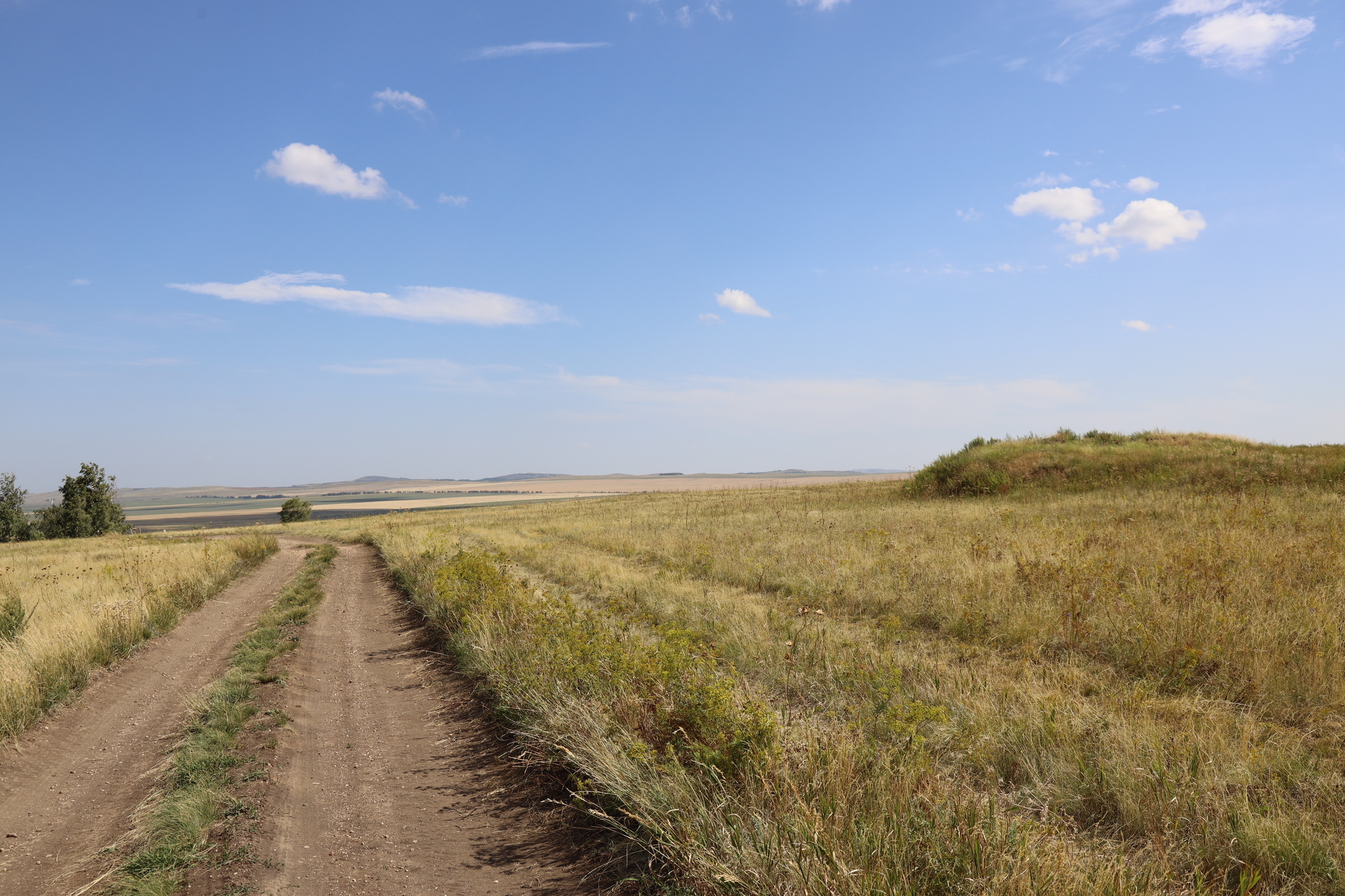 Excavations of a mound of early nomads in Trans-Ural Bashkiria - Archeology, Excavations, Ural, Bashkortostan, Archaeologists, The science, Ancient world, Longpost