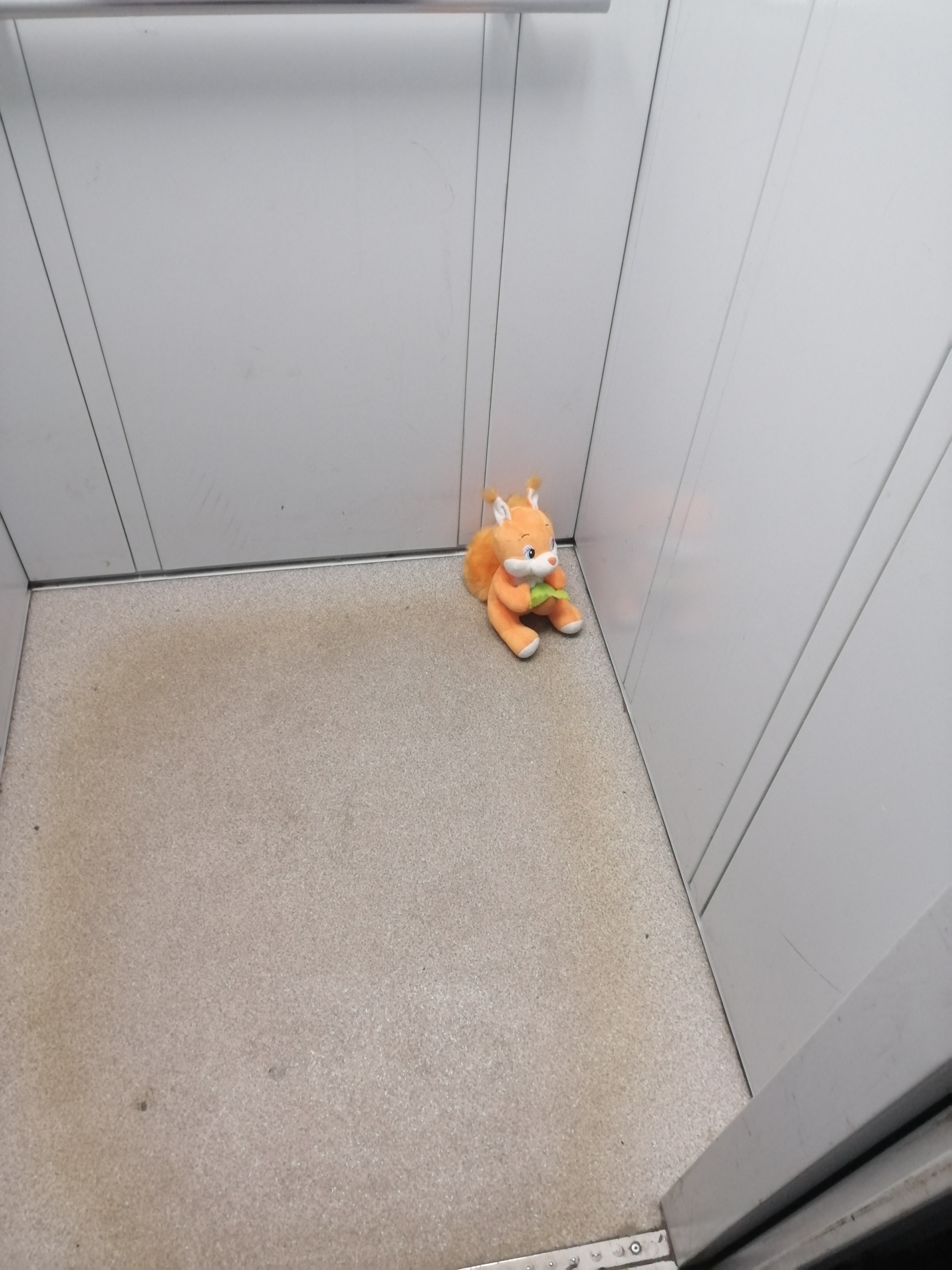 I get into the elevator - My, Elevator, Morning, Good morning, Squirrel, Soft toy