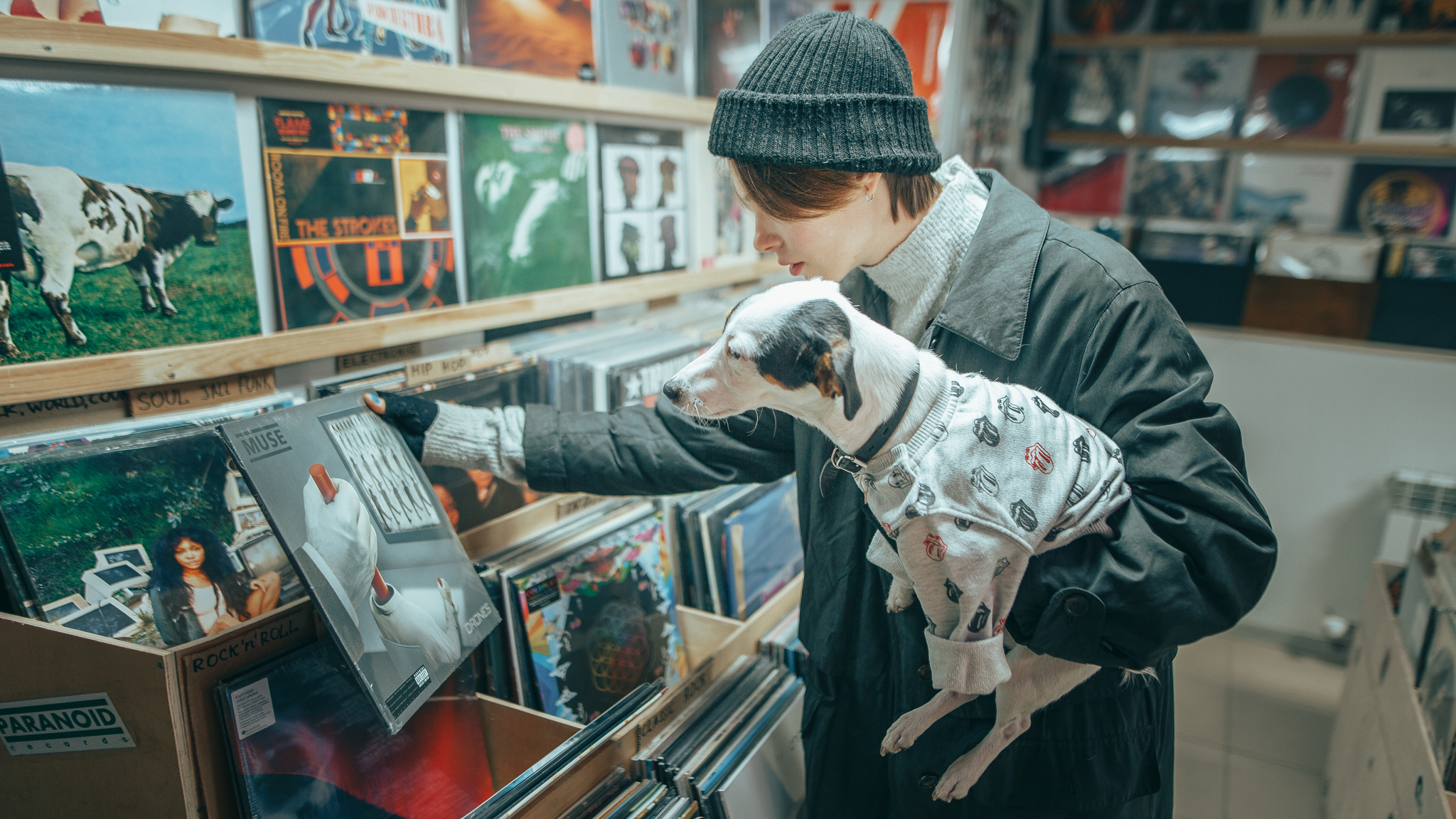 Playlist - My, Music, Plate, Vinyl records, Models, Girls, Dog, PHOTOSESSION, Rostov, Photographer, Longpost