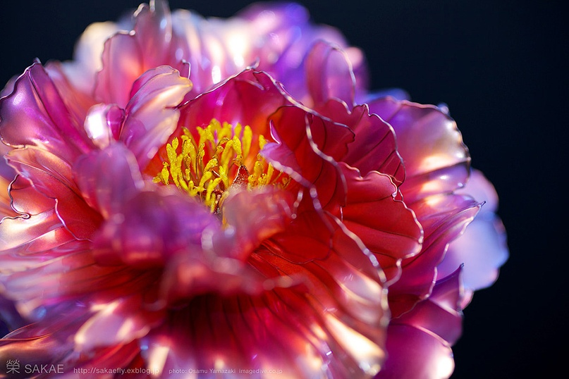 Magic flowers Sakae - Japan, Decorative arts, Kanzashi, Craftsmanship, Longpost, Needlework without process