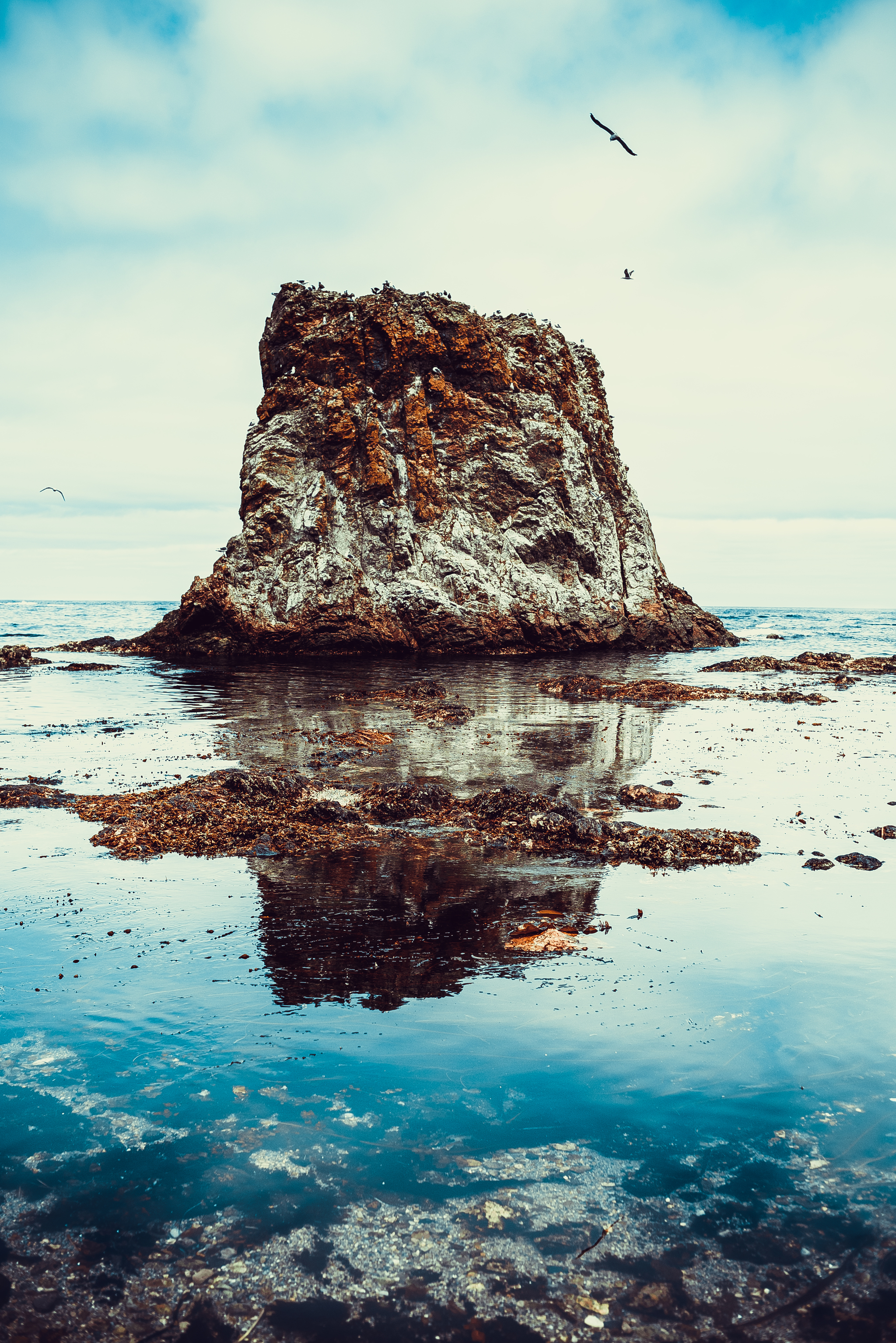 Sakhalin - My, Sakhalin, The photo, Sea, Island, The mountains, Seagulls, Summer, Landscape, Reflection, A rock, Longpost