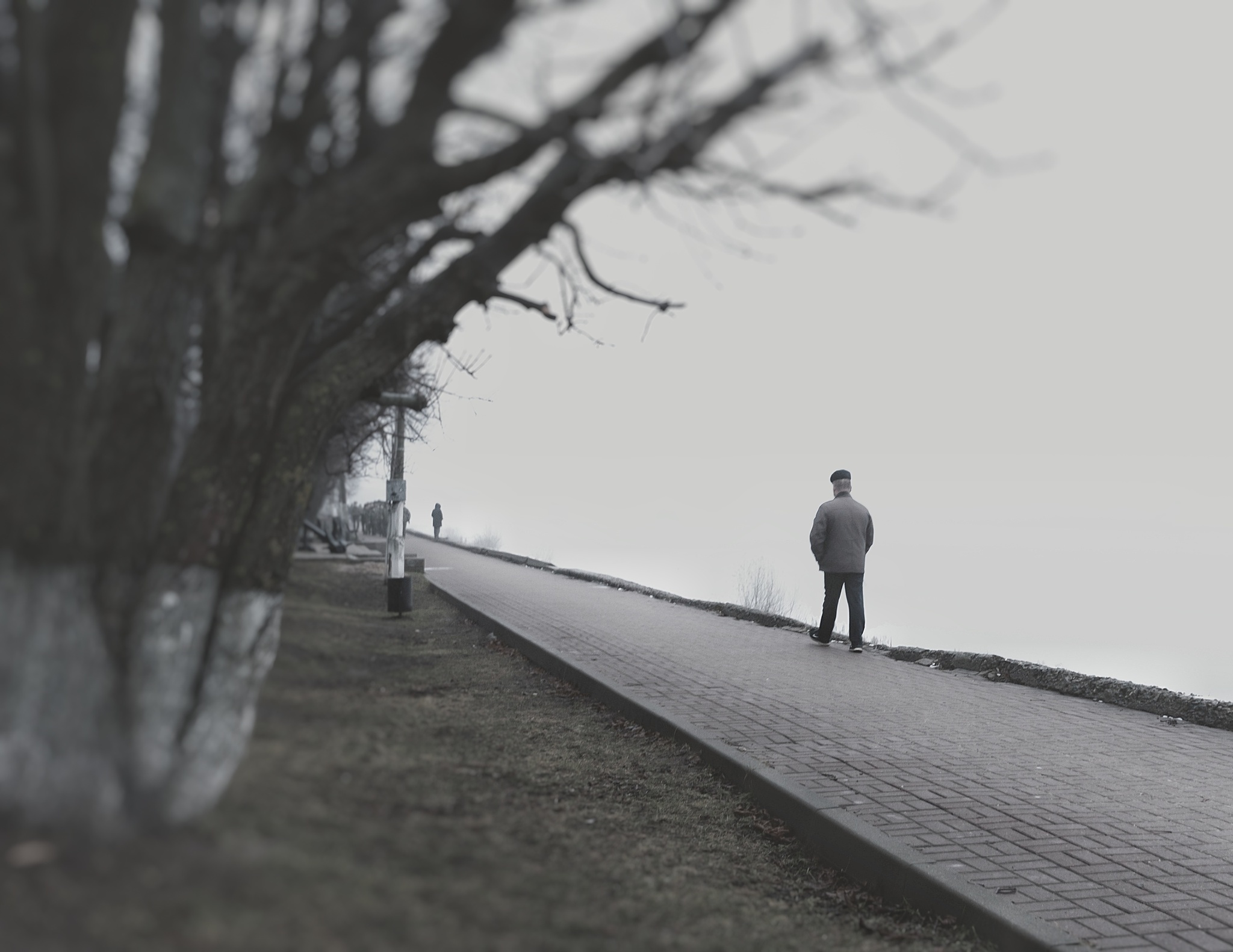 | Foggy Tver - My, The photo, Tver, Tver region, Bridge, Autumn, Fog, Snapseed, Longpost