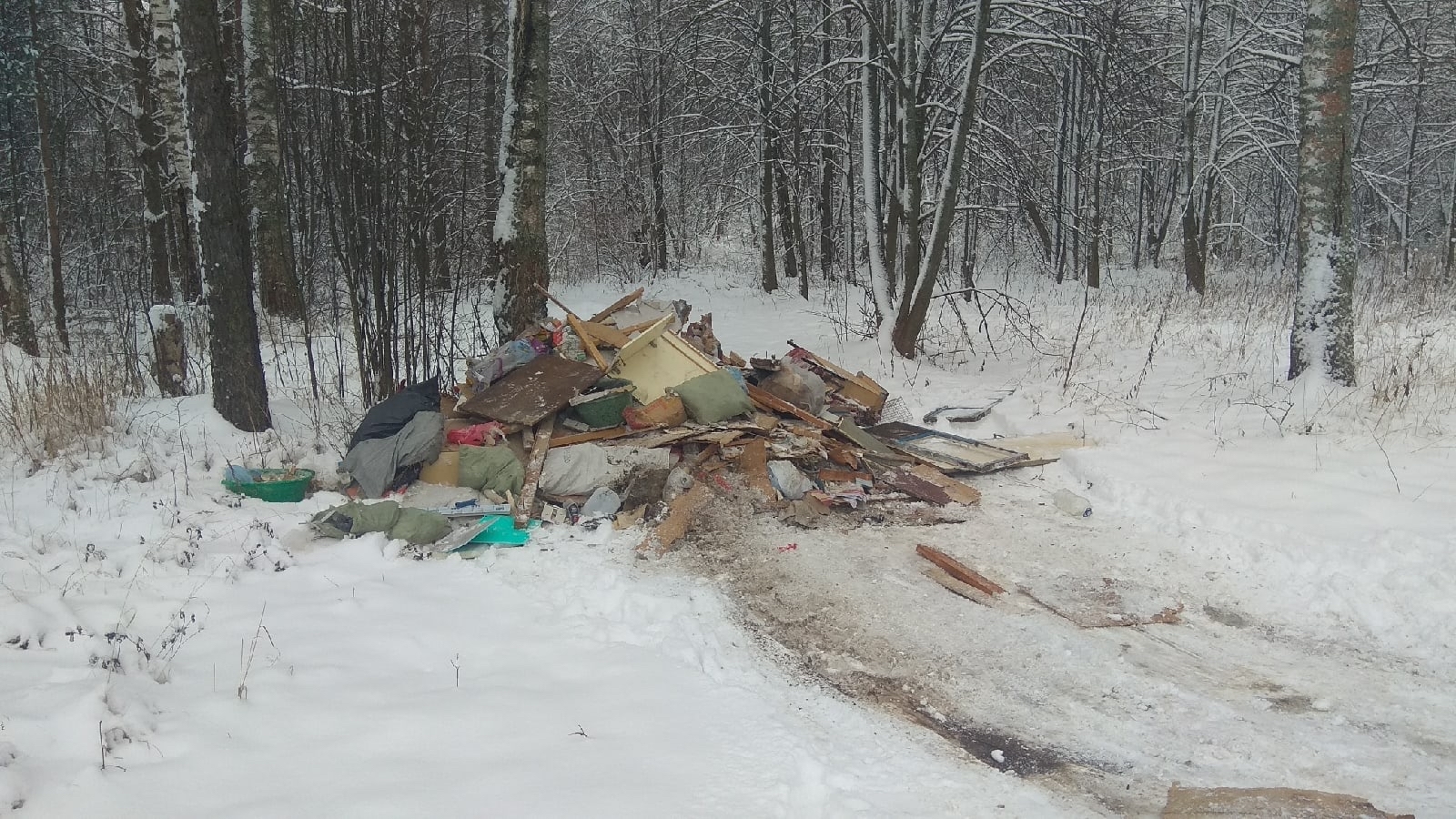 An example of a proper civil society - My, Garbage, Cattle, Kostroma, Longpost, civil position