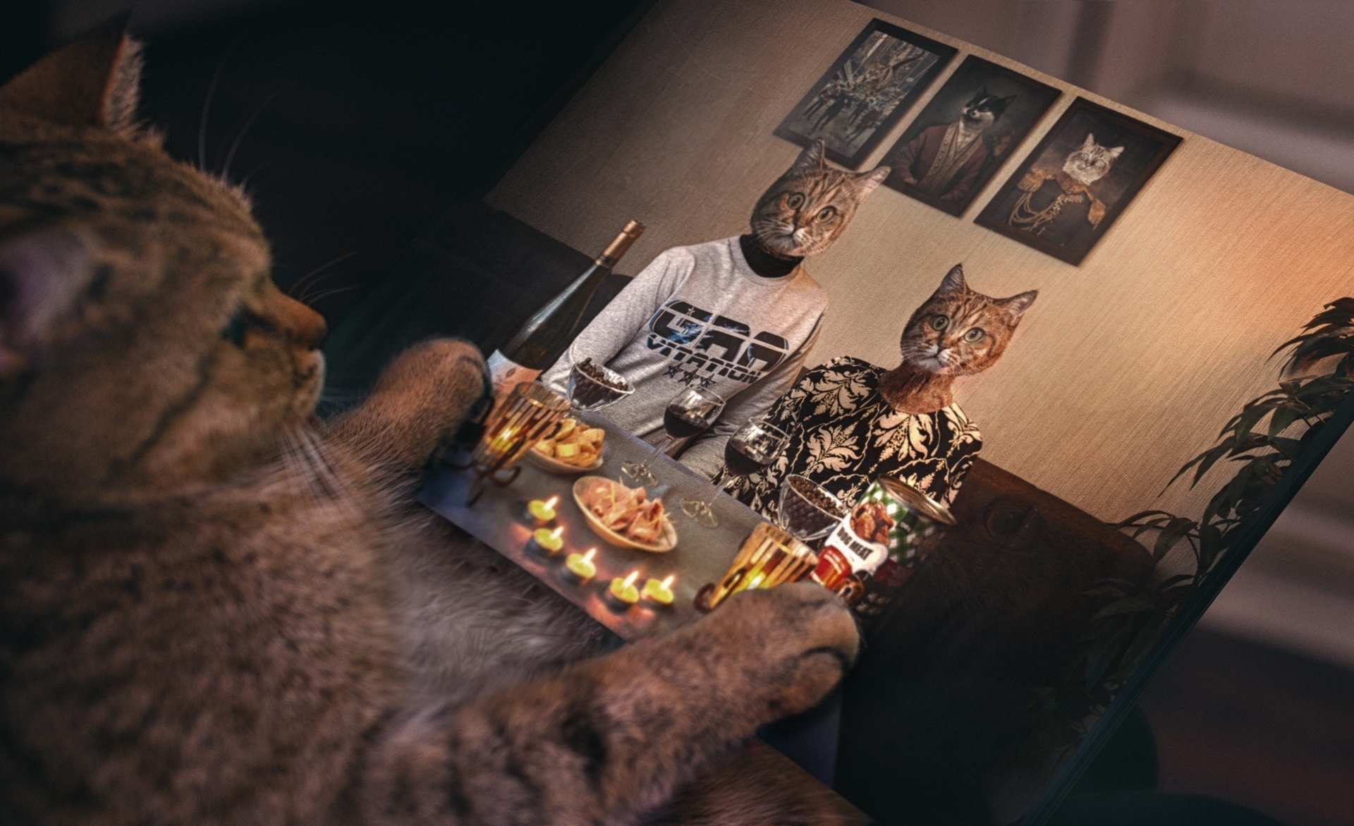 Memories - My, cat, The photo, Photoshop, Oddities