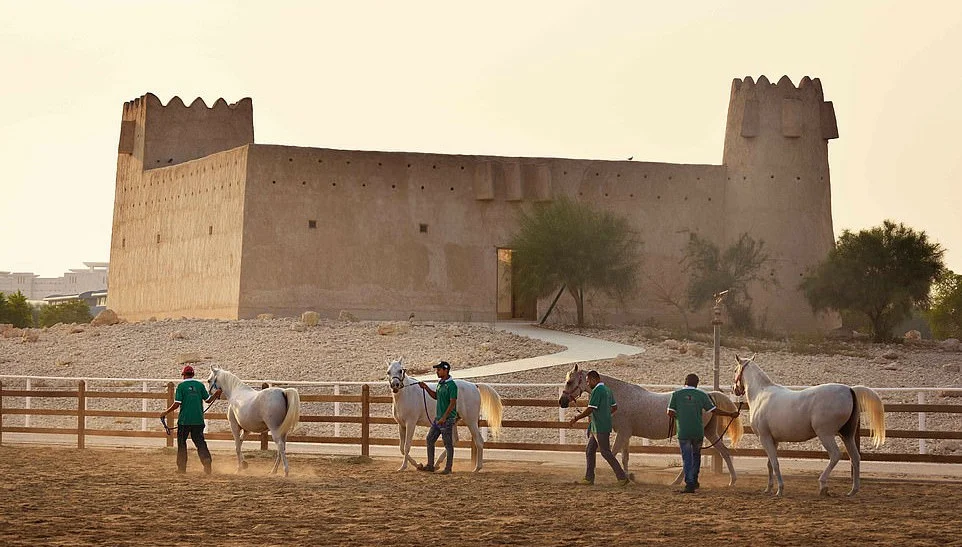 The horses live! Qatar has the coolest equestrian center - Qatar, Horses, Care, Longpost, Stable, Swimming pool, Solarium