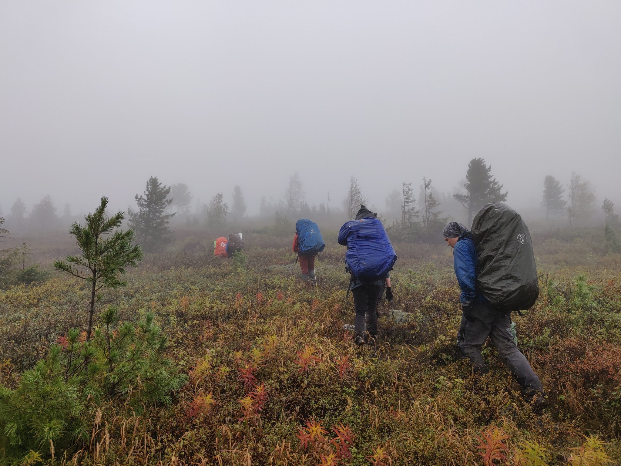 Northern Urals in the Dyatlov Pass area - My, Hike, The photo, Northern Ural, Nature, The mountains, Dyatlov Pass, Longpost