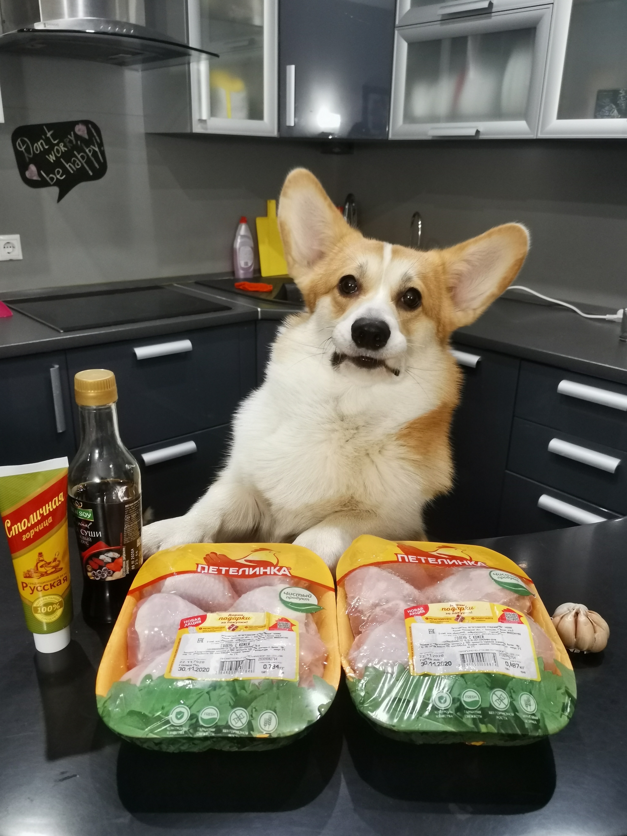 Cooking with corgi. Chicken legs in mustard sauce - My, Hen, Corgi, Cooking, League of Cooking, Yummy, Longpost, Recipe, Chicken legs, Chicken recipes