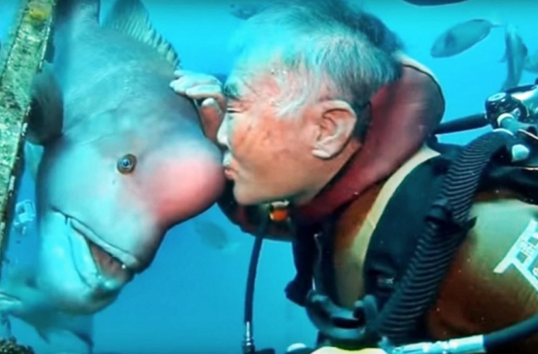 A Japanese man has been friends with a predatory fish with a human head for 30 years. - Japanese, A fish, friendship