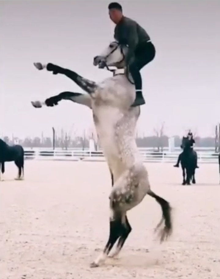 When he drank kumys - Horses, Riders, Video, Longpost, Kazakhs, Reverse