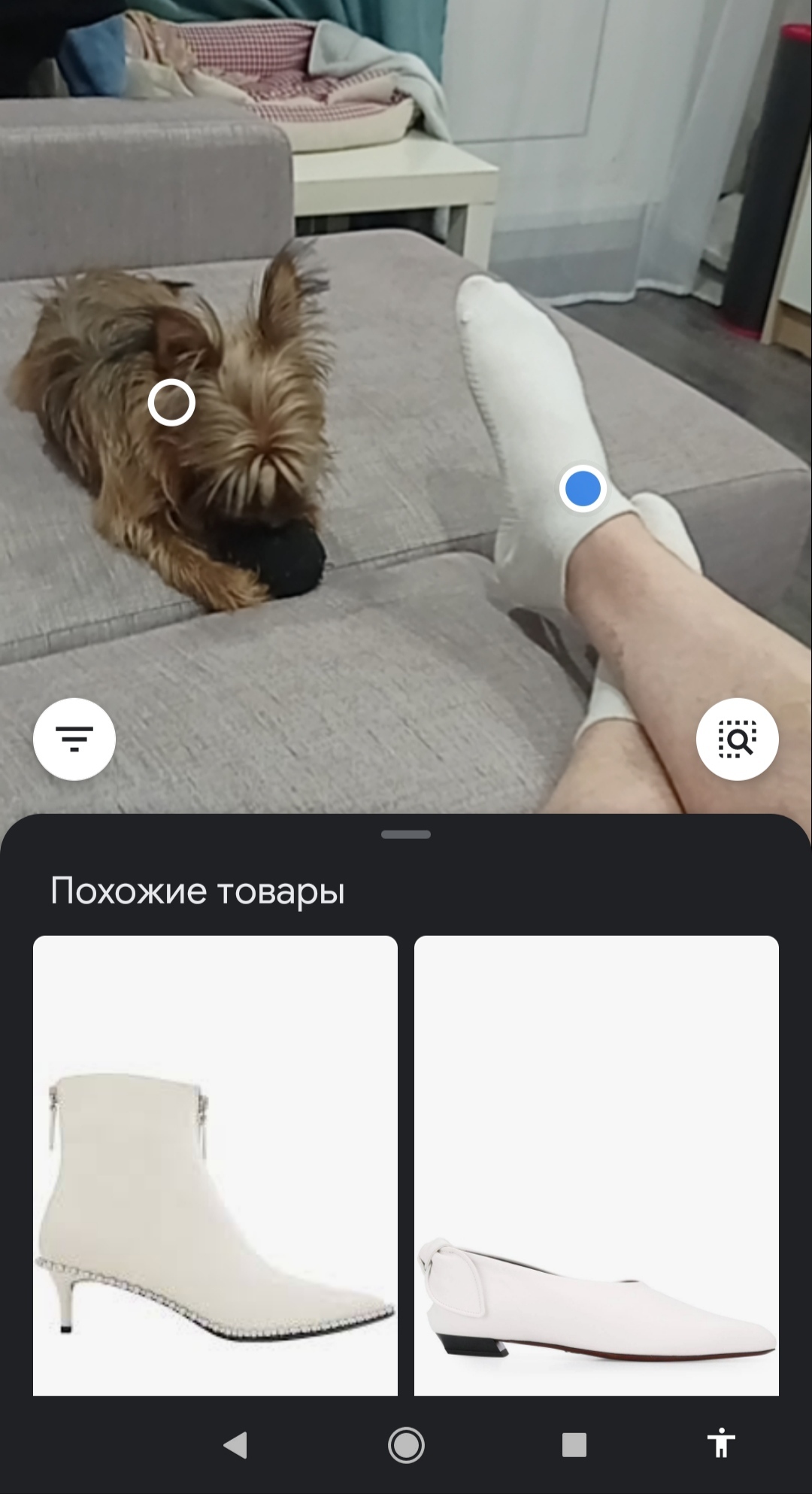 Едрить я модник - Моё, Google Lens, Намек, Длиннопост