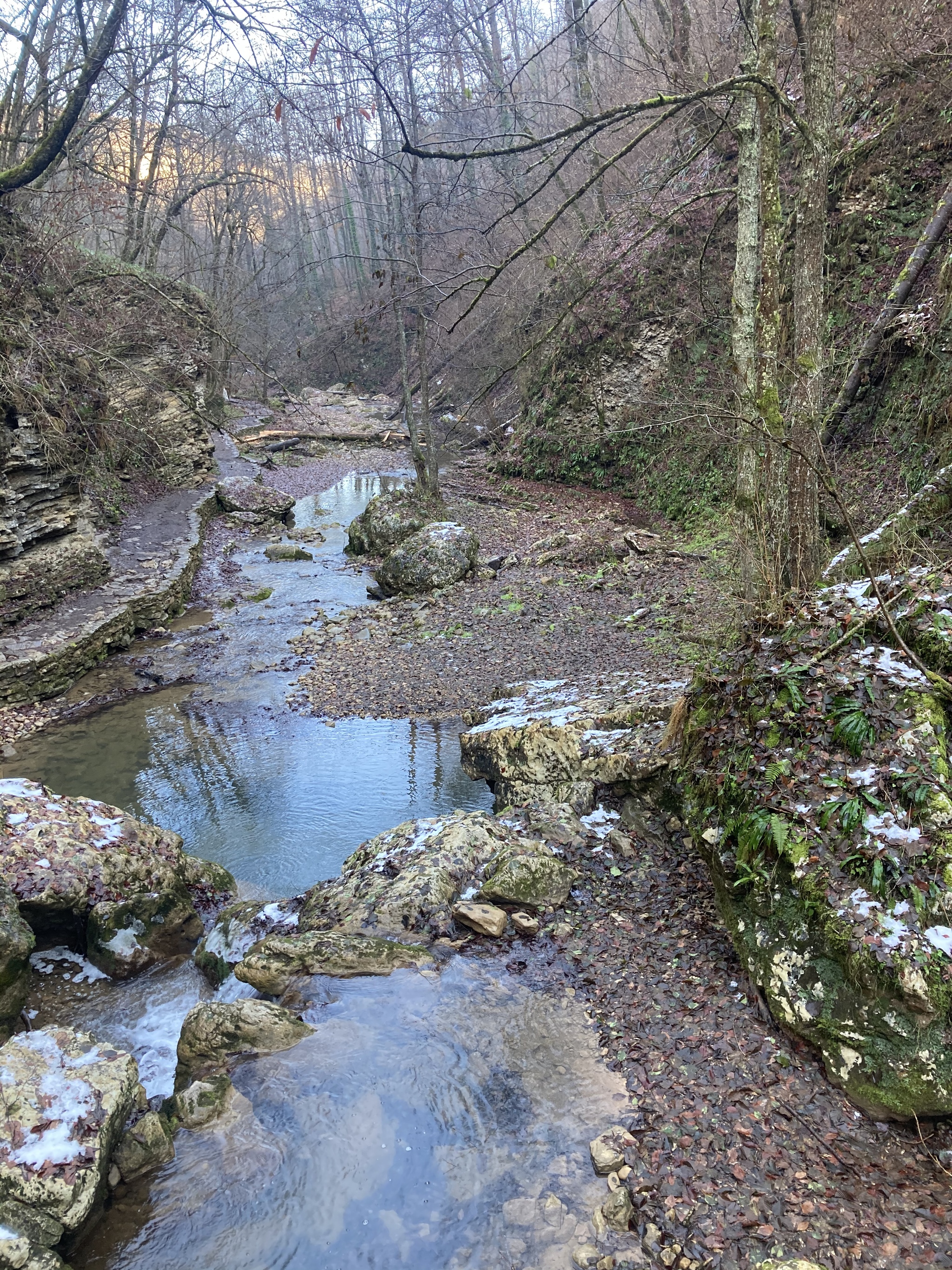 Rufabgo - My, Nature, Rufabgo Falls, The photo, Forest, Longpost