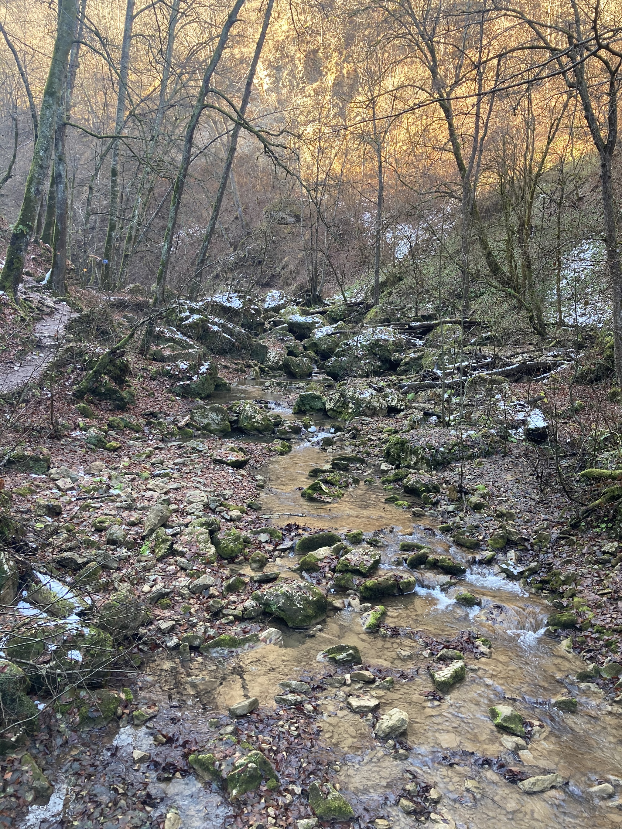 Rufabgo - My, Nature, Rufabgo Falls, The photo, Forest, Longpost