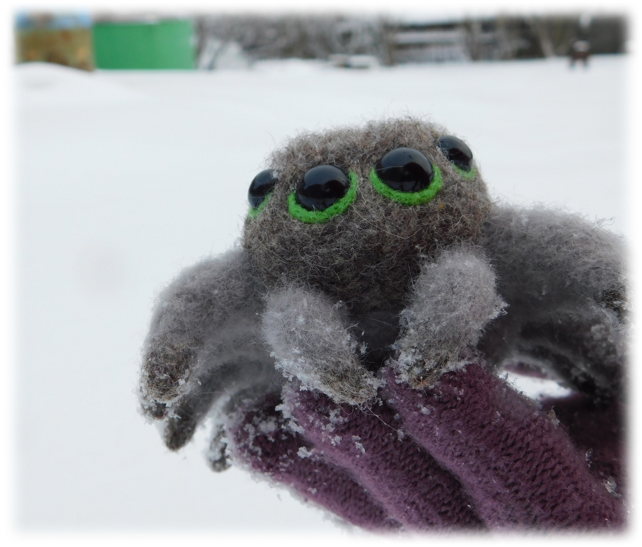 Spider - My, Needlework without process, Dry felting, Spider, Author's toy, Wool, Dlninopost, Longpost