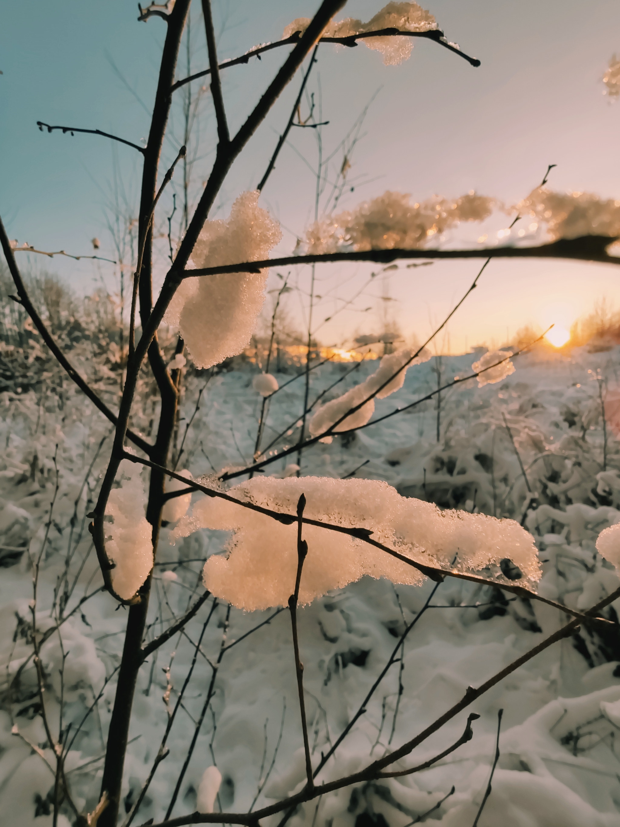 Winter evening - My, Winter, Mobile photography, No filters