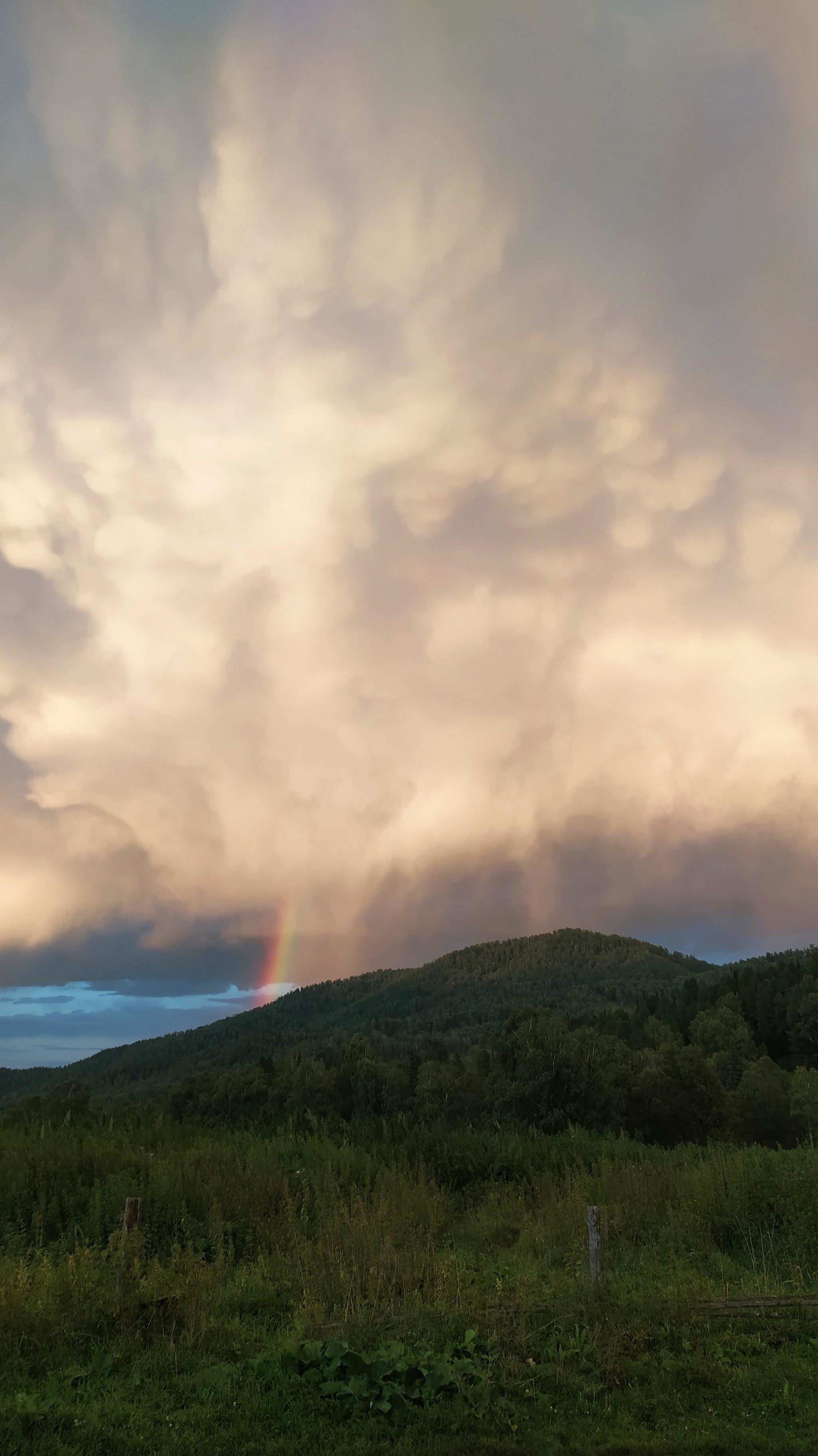 Sky show - My, Mobile photography, Altai Republic, Nature