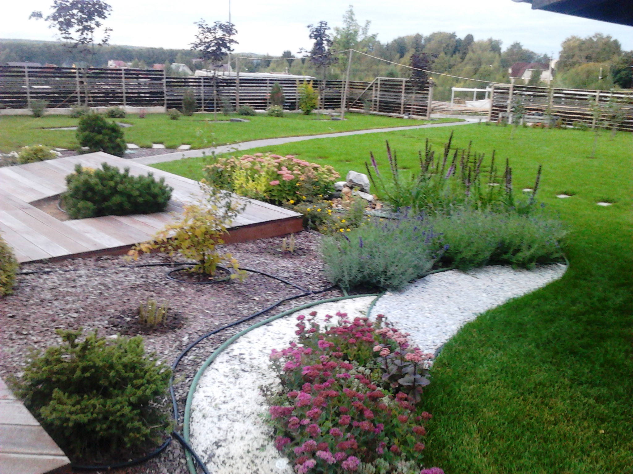 Landscaping of the site (photos from planting to today) - My, Landscaping, Landscape design, The photo, Longpost