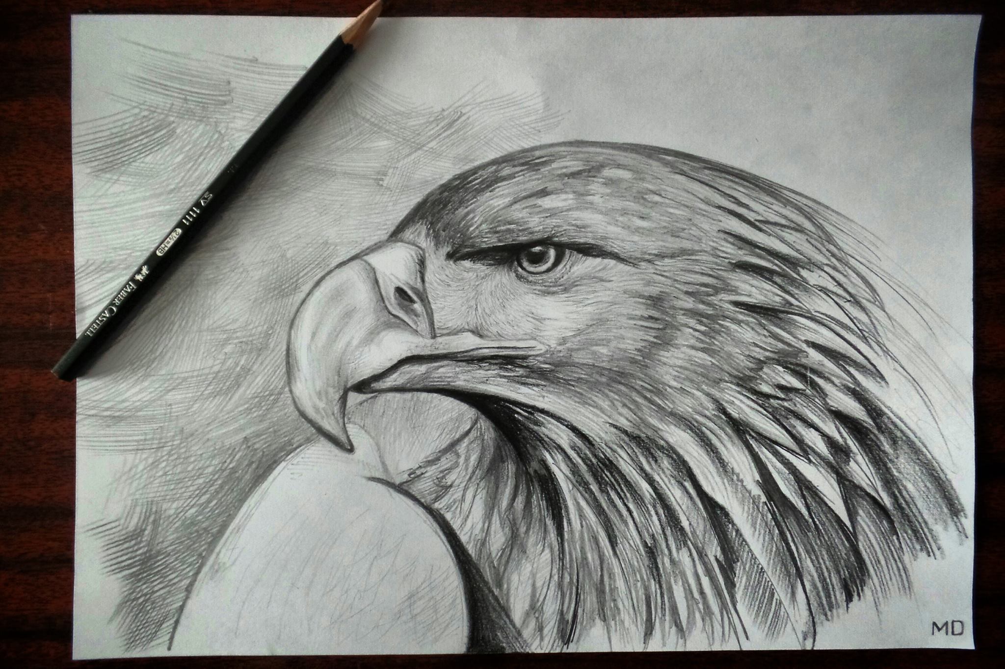 Pencil drawing - My, Graphics, Pencil drawing, Eagle, Graphics Art, Pencilart