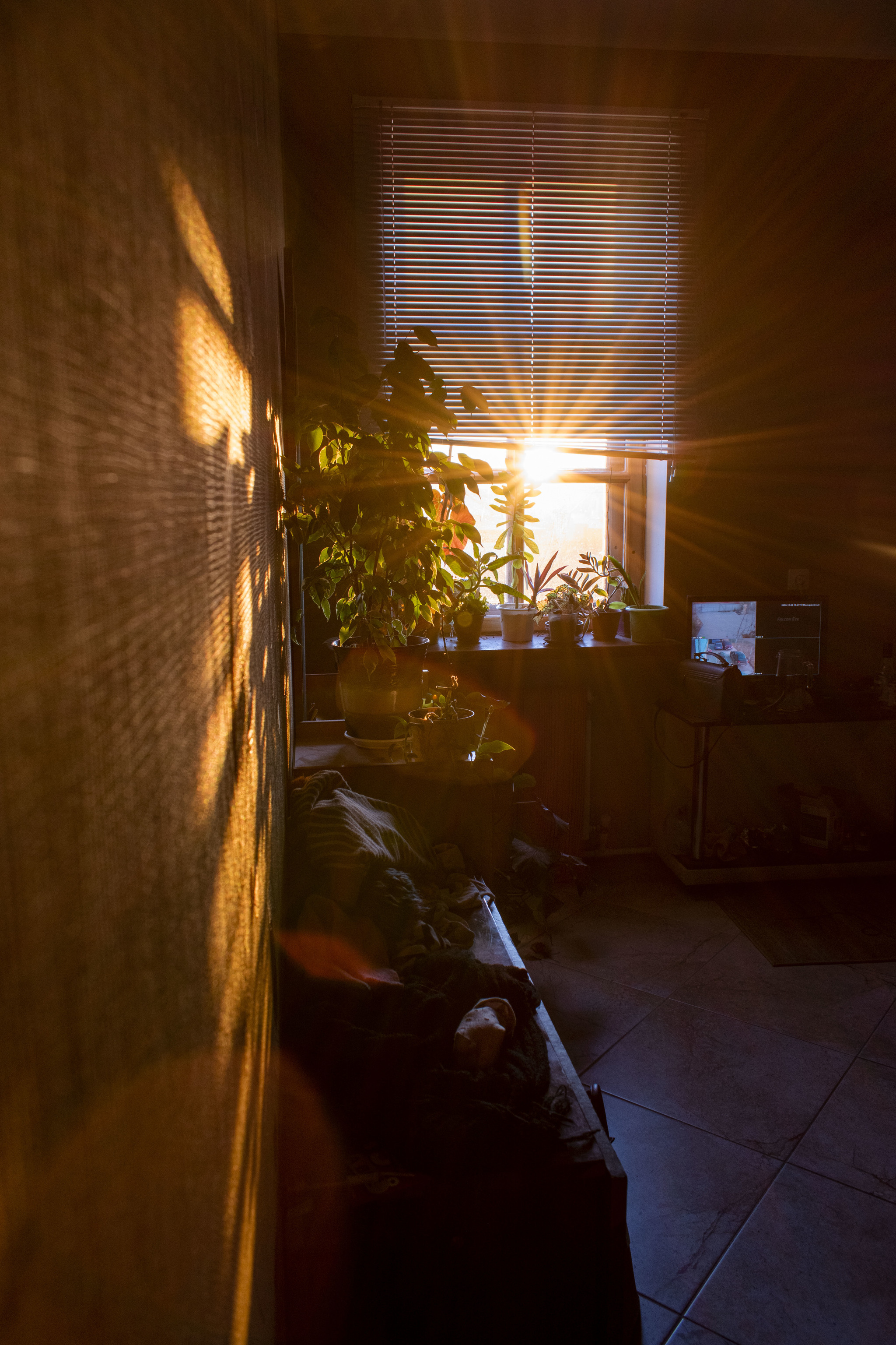 Сонник свет солнца в окне дома